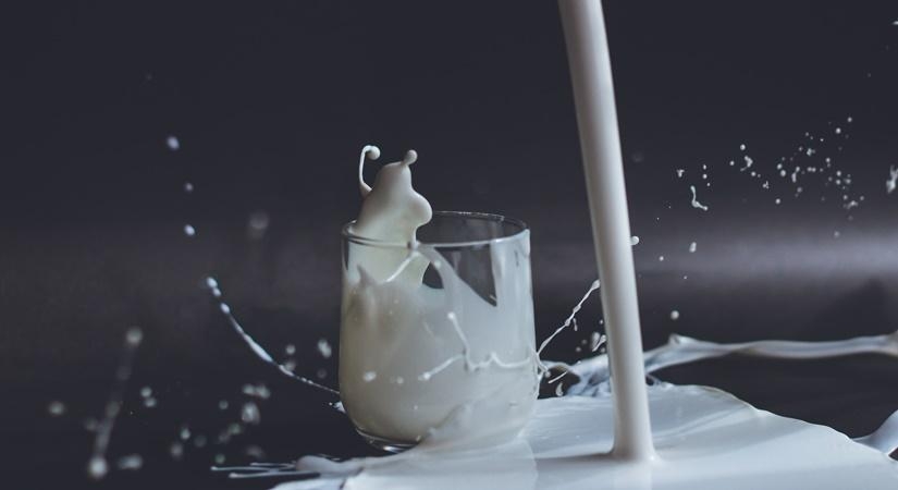 NDDB to run Varanasi Milk Union plant NDDB to run Varanasi Milk Union plant