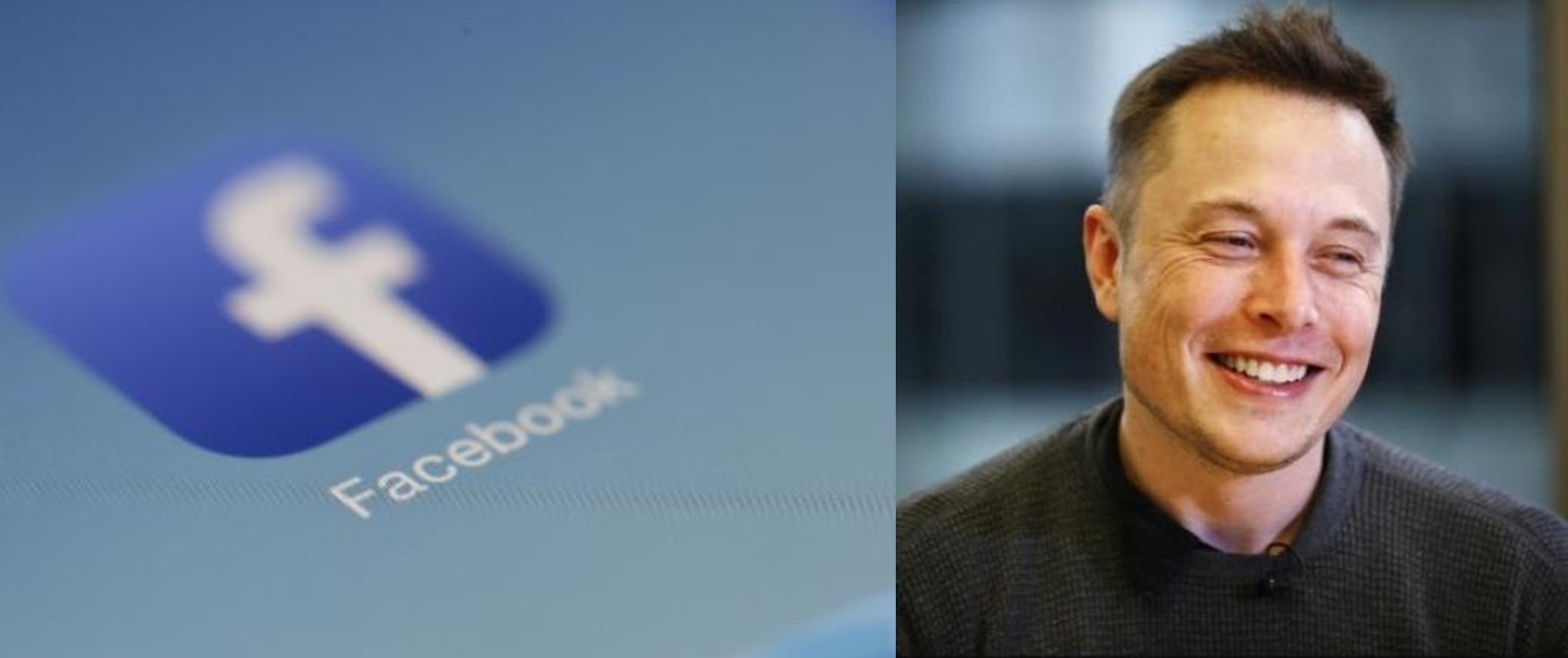 FB verifies fan page on Elon Musk, takes it down FB verifies fan page on Elon Musk, takes it down