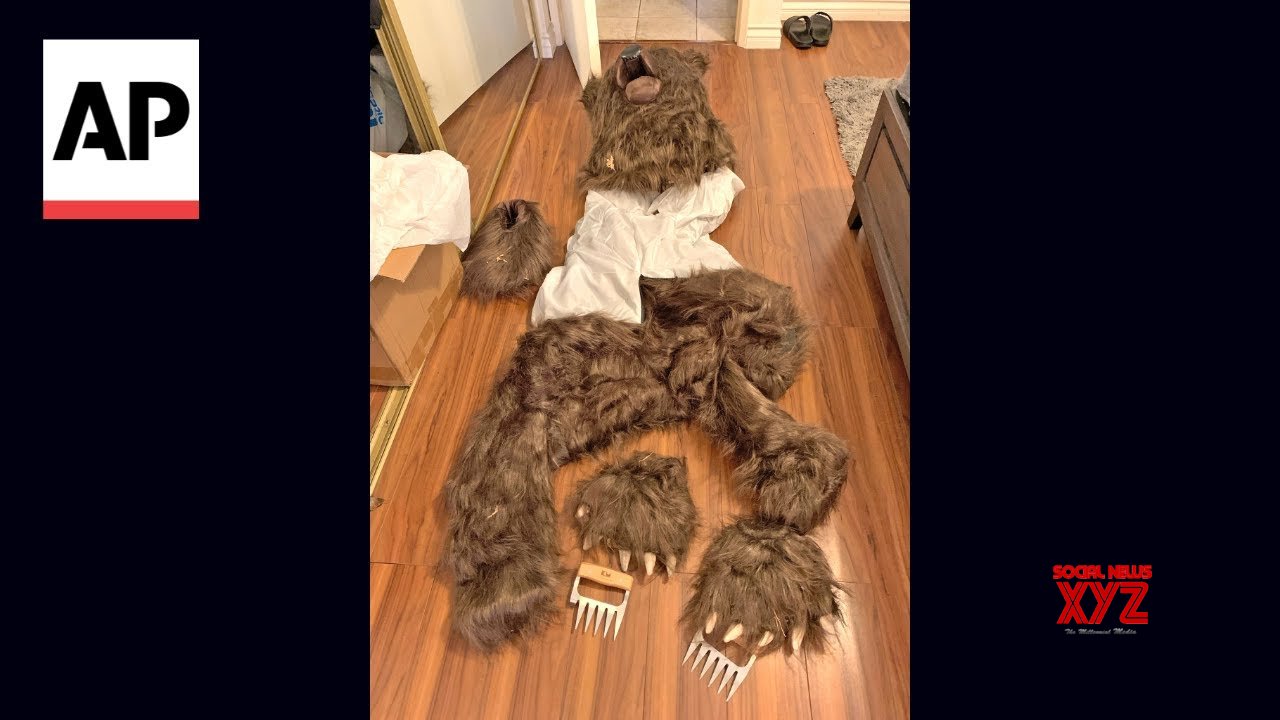 ‘Bear’ that damaged cars was actually a person in a costume, insurers say (Video)