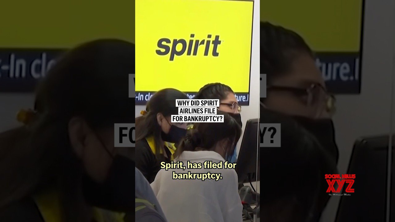 Why did Spirit Airlines file for bankruptcy? (Video)