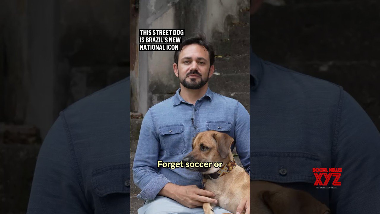 This street dog is Brazil’s new national icon (Video)