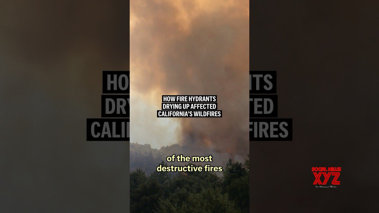 How fire hydrants drying up affected the California wildfires (Video)