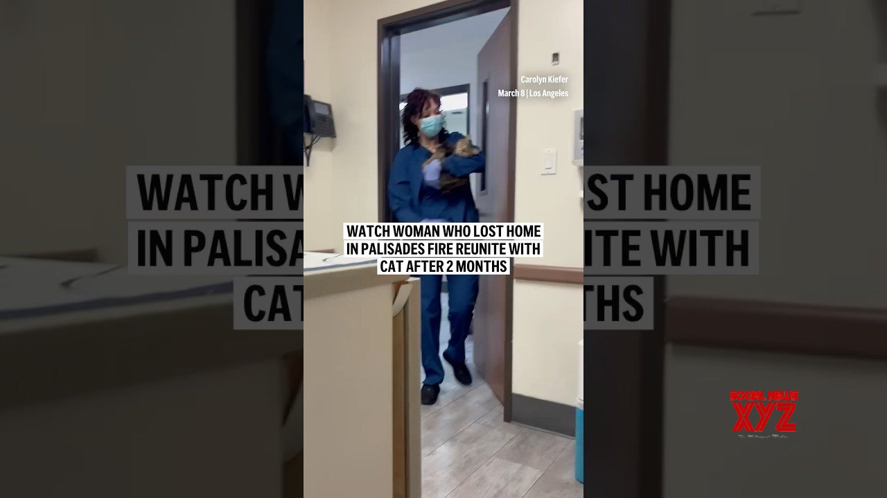 Watch woman who lost home in Palisades fire reunite with cat after 2 months (Video)