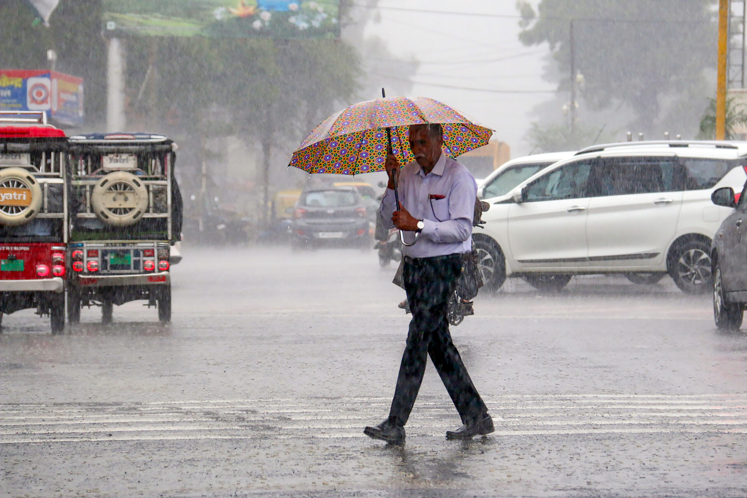 Bhopal: A man holding an umbrella crosses a road amid rain, in Bhopal on Monday, August 24, 2026. (Photo: IANS)