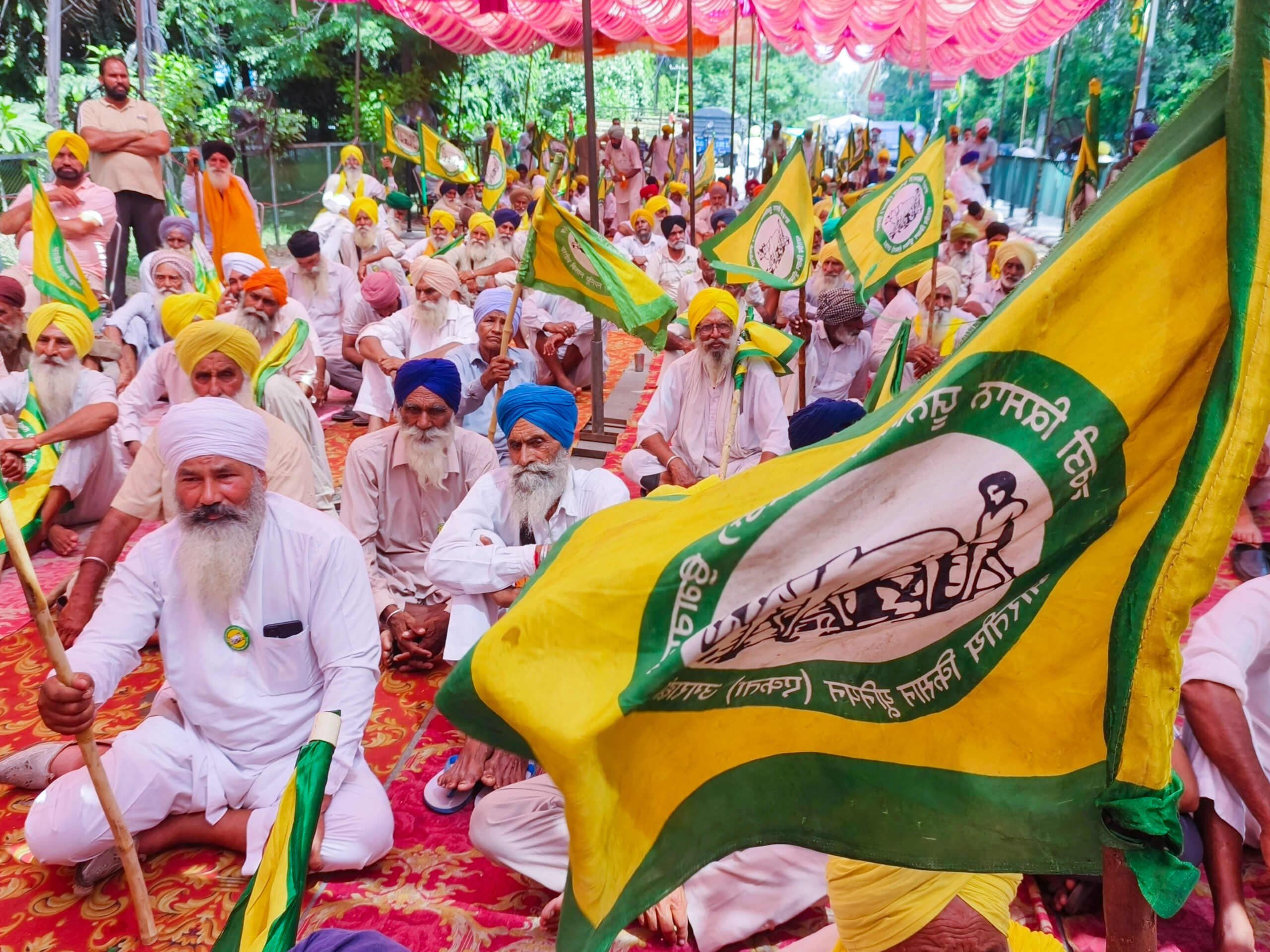 Patiala: Members of the Bharatiya Kisan Union (Ugrahan) block a road outside the Deputy Commissioners office during a protest against the Punjab government over their various pending demands in Patiala on Tuesday, September 1, 2026. (Photo: IANS)