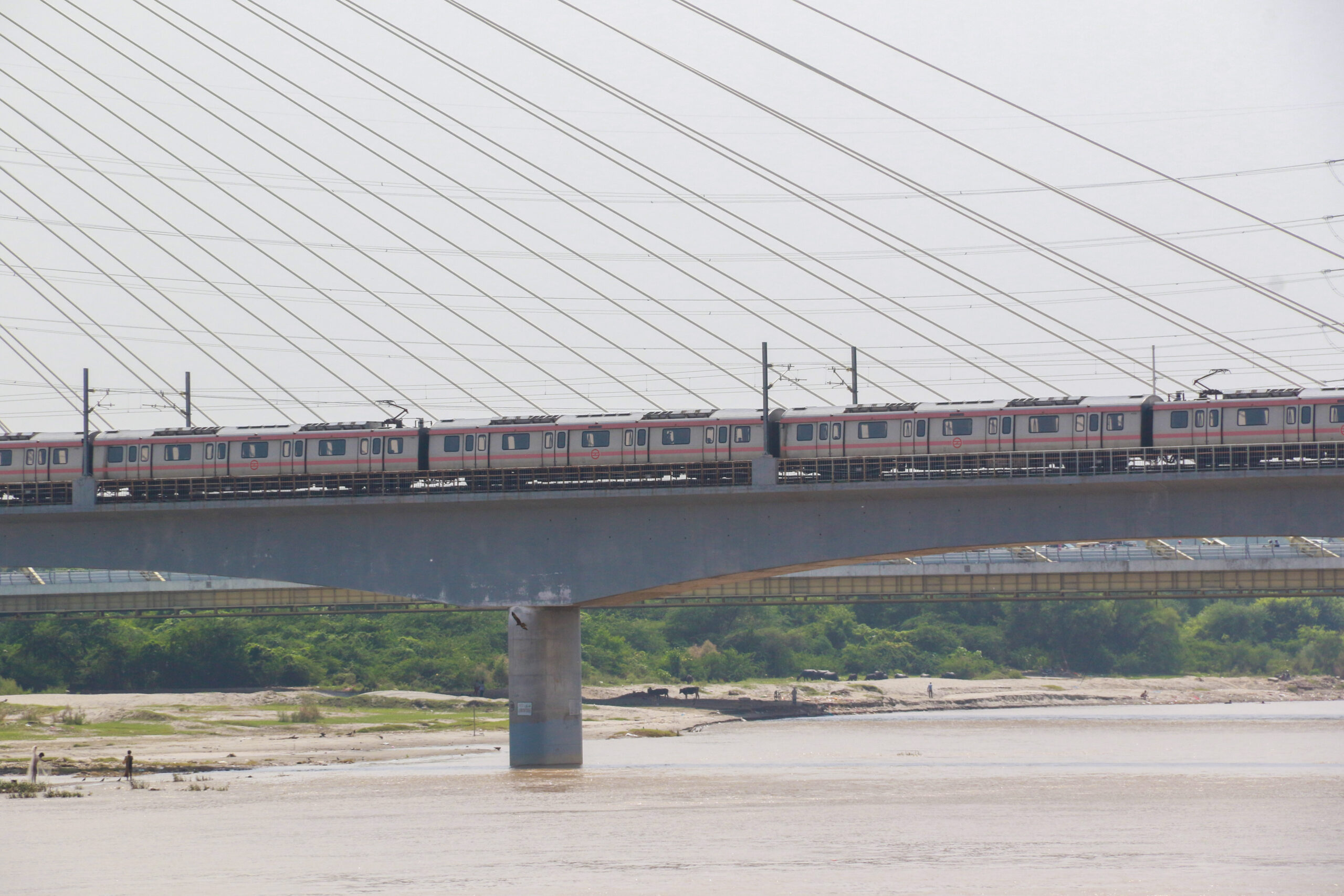 New Delhi: Yamuna River near Wazirabad Ghat #Gallery New Delhi: Yamuna River near Wazirabad Ghat #Gallery