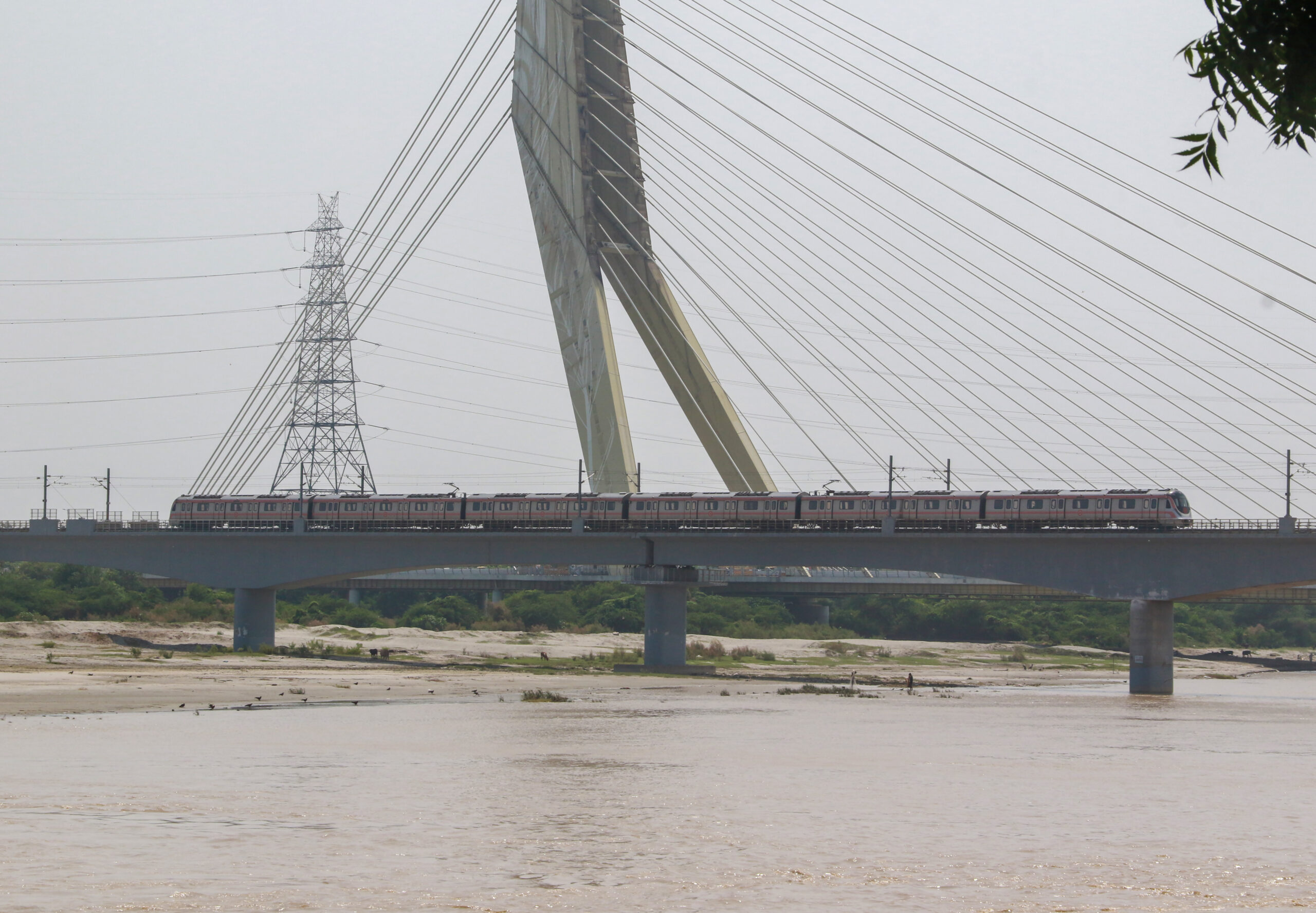 New Delhi: Yamuna River near Wazirabad Ghat #Gallery New Delhi: Yamuna River near Wazirabad Ghat #Gallery