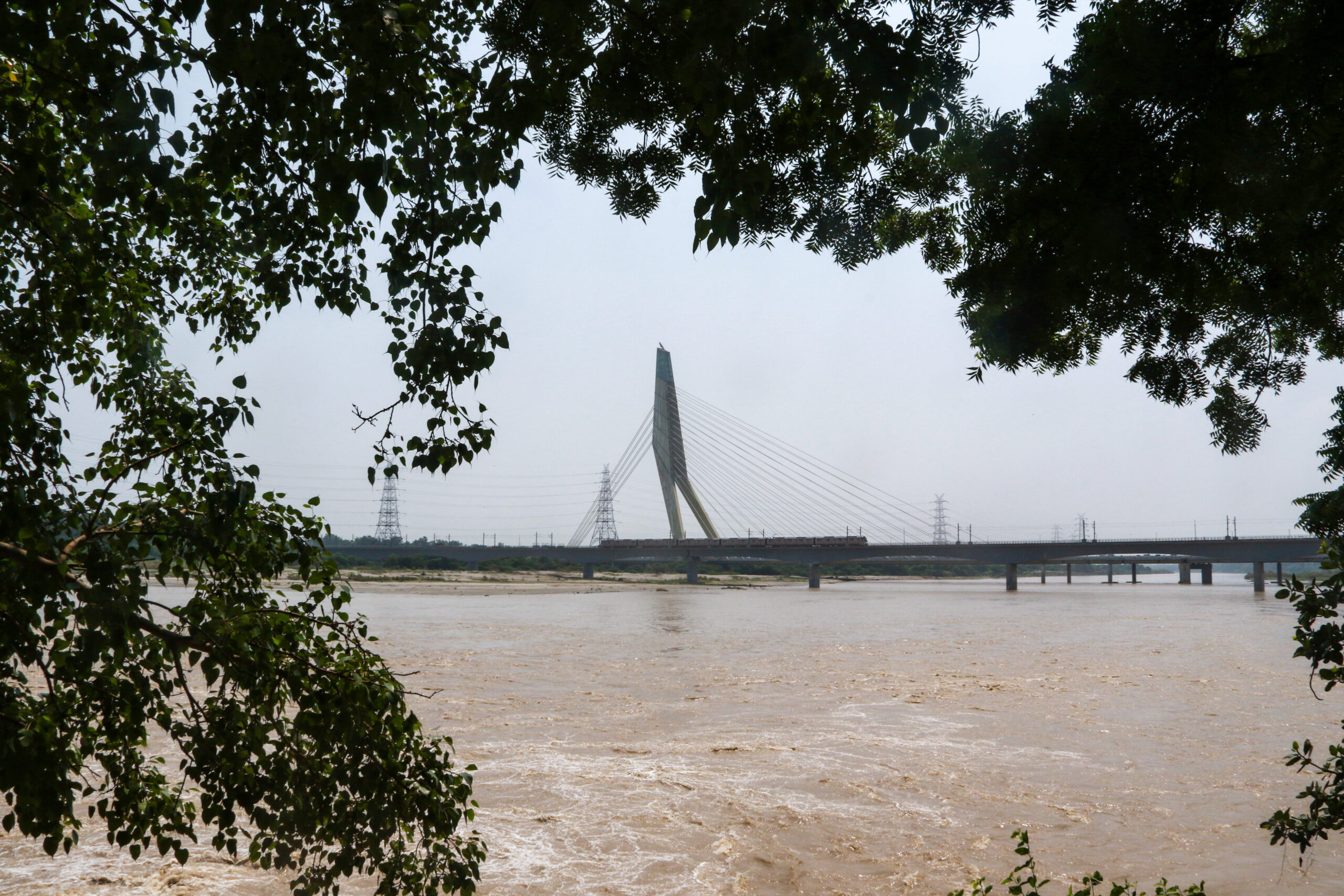 New Delhi: Yamuna River near Wazirabad Ghat #Gallery New Delhi: Yamuna River near Wazirabad Ghat #Gallery