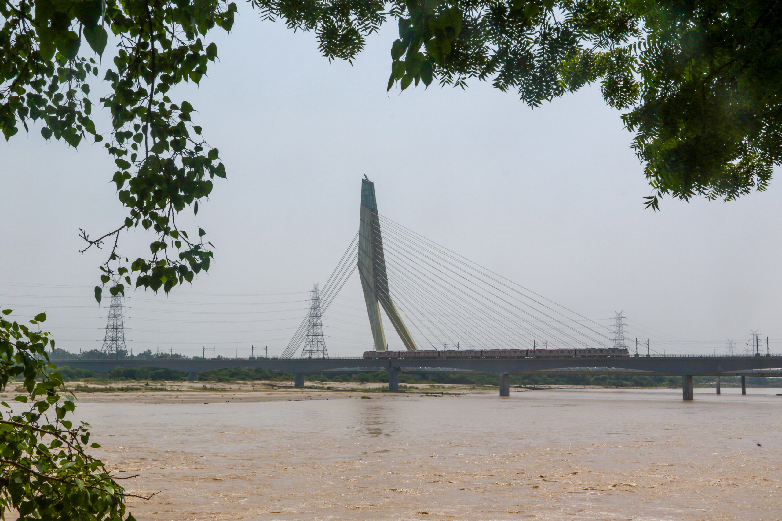 New Delhi: Yamuna River near Wazirabad Ghat #Gallery New Delhi: Yamuna River near Wazirabad Ghat #Gallery