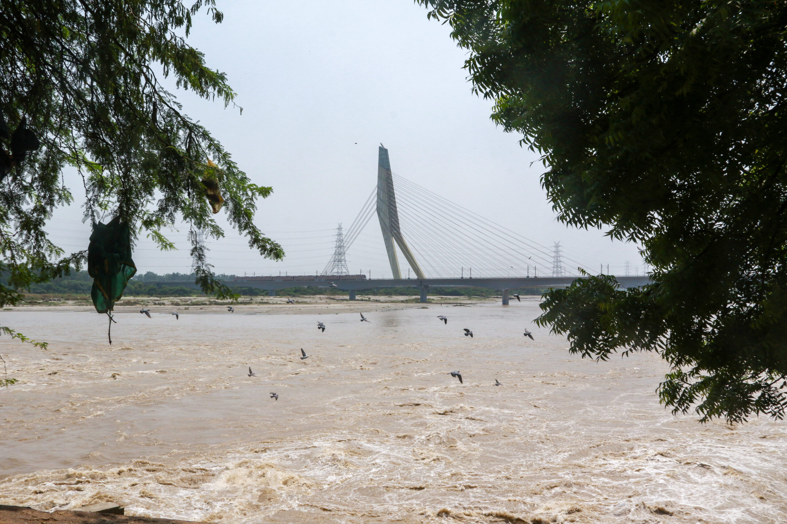 New Delhi: Yamuna River near Wazirabad Ghat #Gallery New Delhi: Yamuna River near Wazirabad Ghat #Gallery