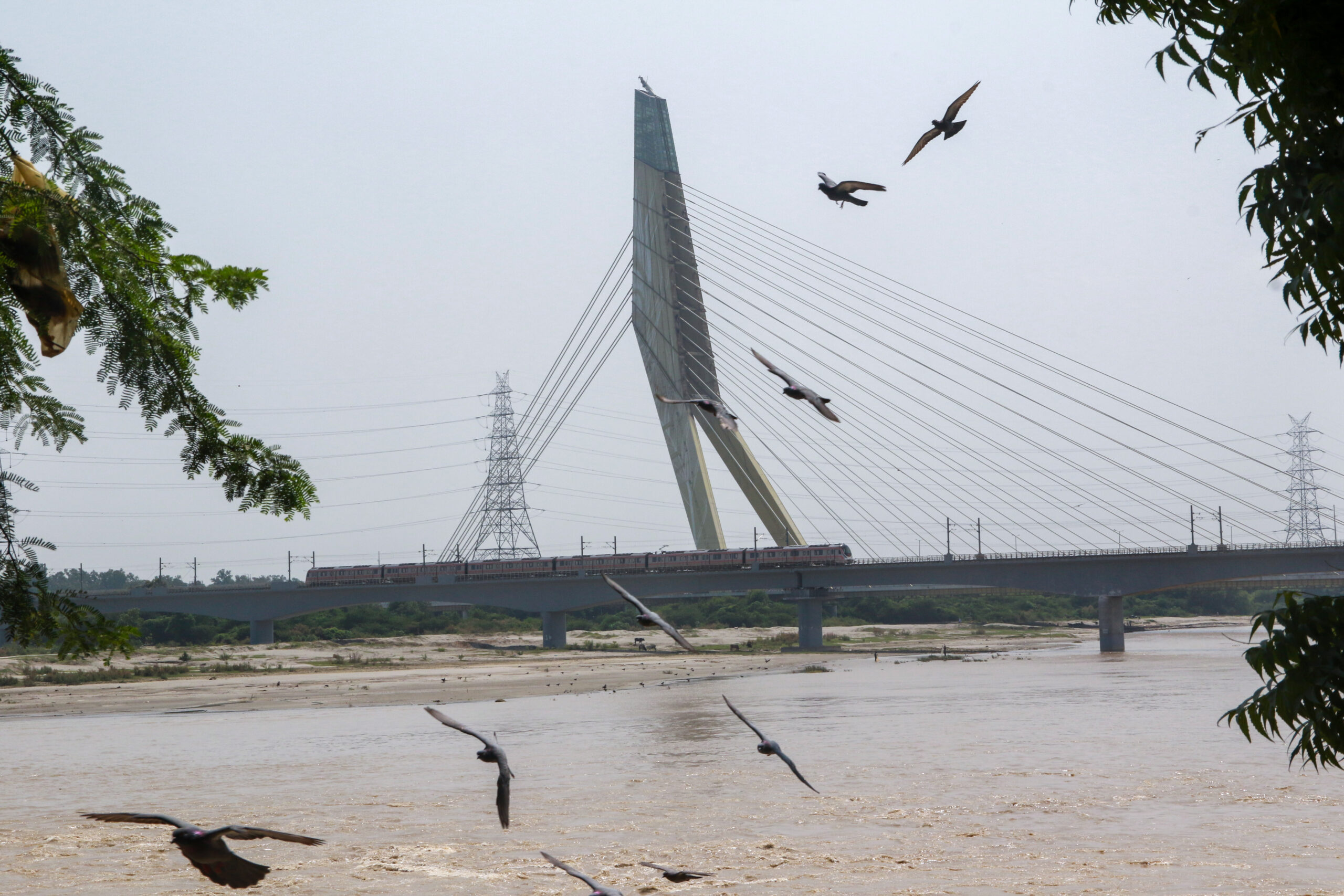 New Delhi: Yamuna River near Wazirabad Ghat #Gallery New Delhi: Yamuna River near Wazirabad Ghat #Gallery