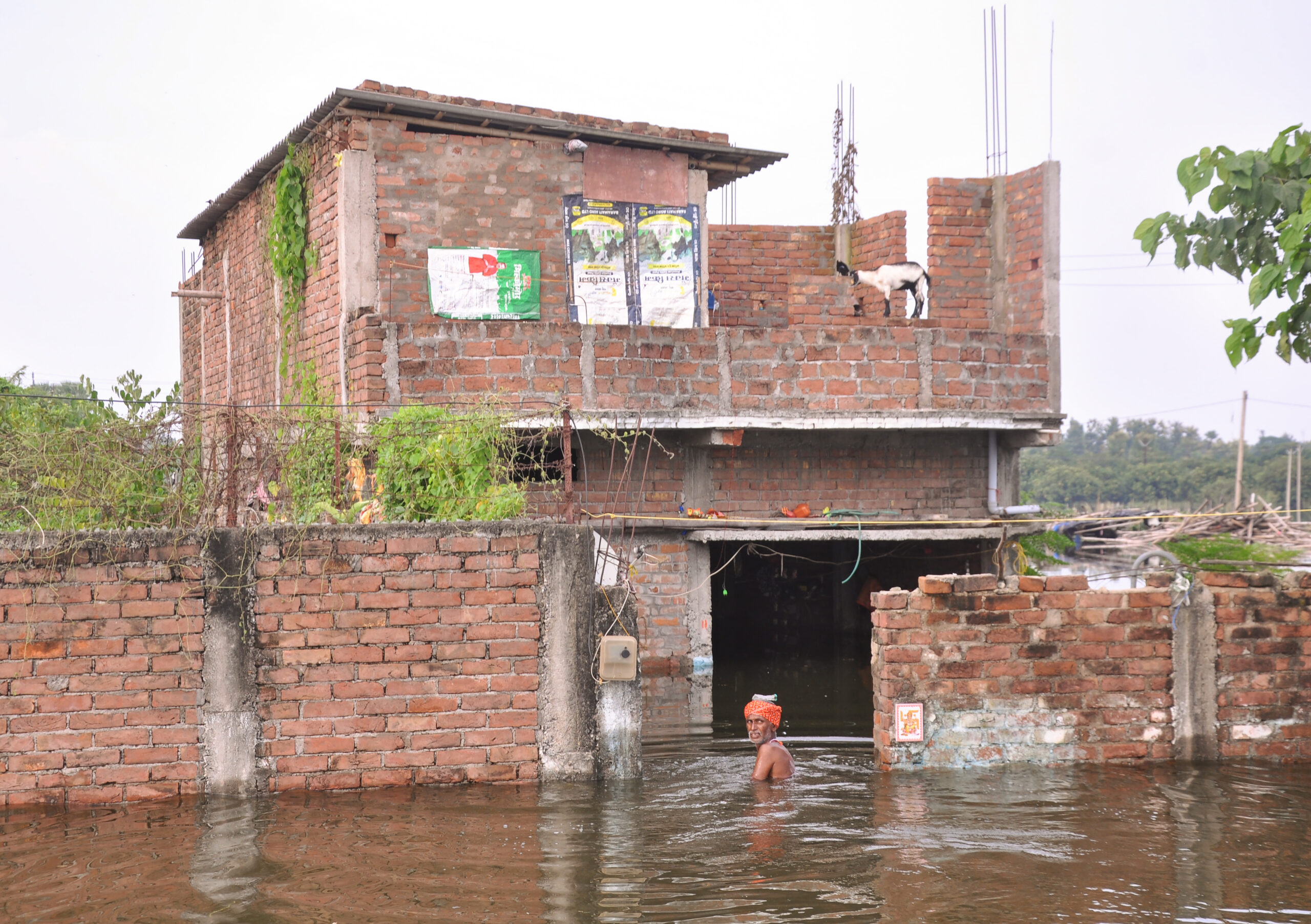 Bhagalpur: Floodwaters inundate Jamsi main road #Gallery Bhagalpur: Floodwaters inundate Jamsi main road #Gallery