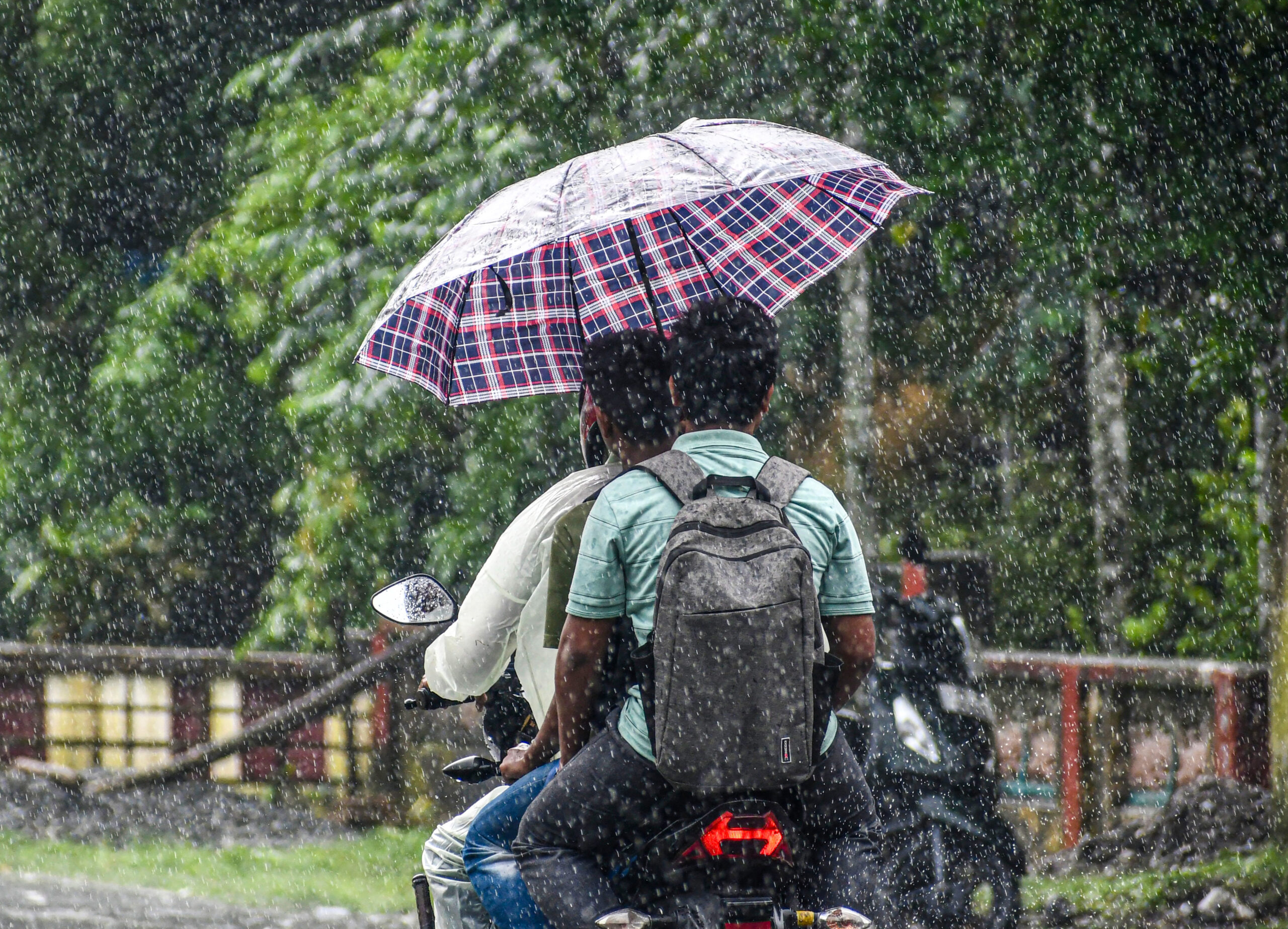 Jalpaiguri: Commuters holding an umbrella travel triple on a motorcycle amid rain, in Jalpaiguri, West Bengal, on Wednesday, September 9, 2026. (Photo: IANS)