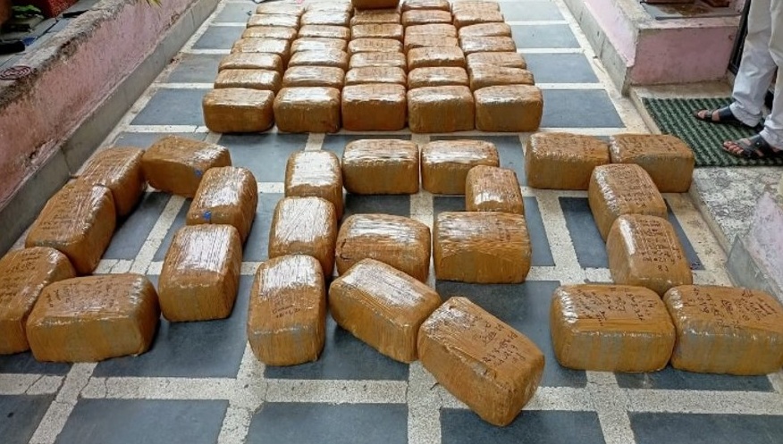 DRI seizes about 740 kg of cannabis in eight operations; 13 held DRI seizes about 740 kg of cannabis in eight operations; 13 held