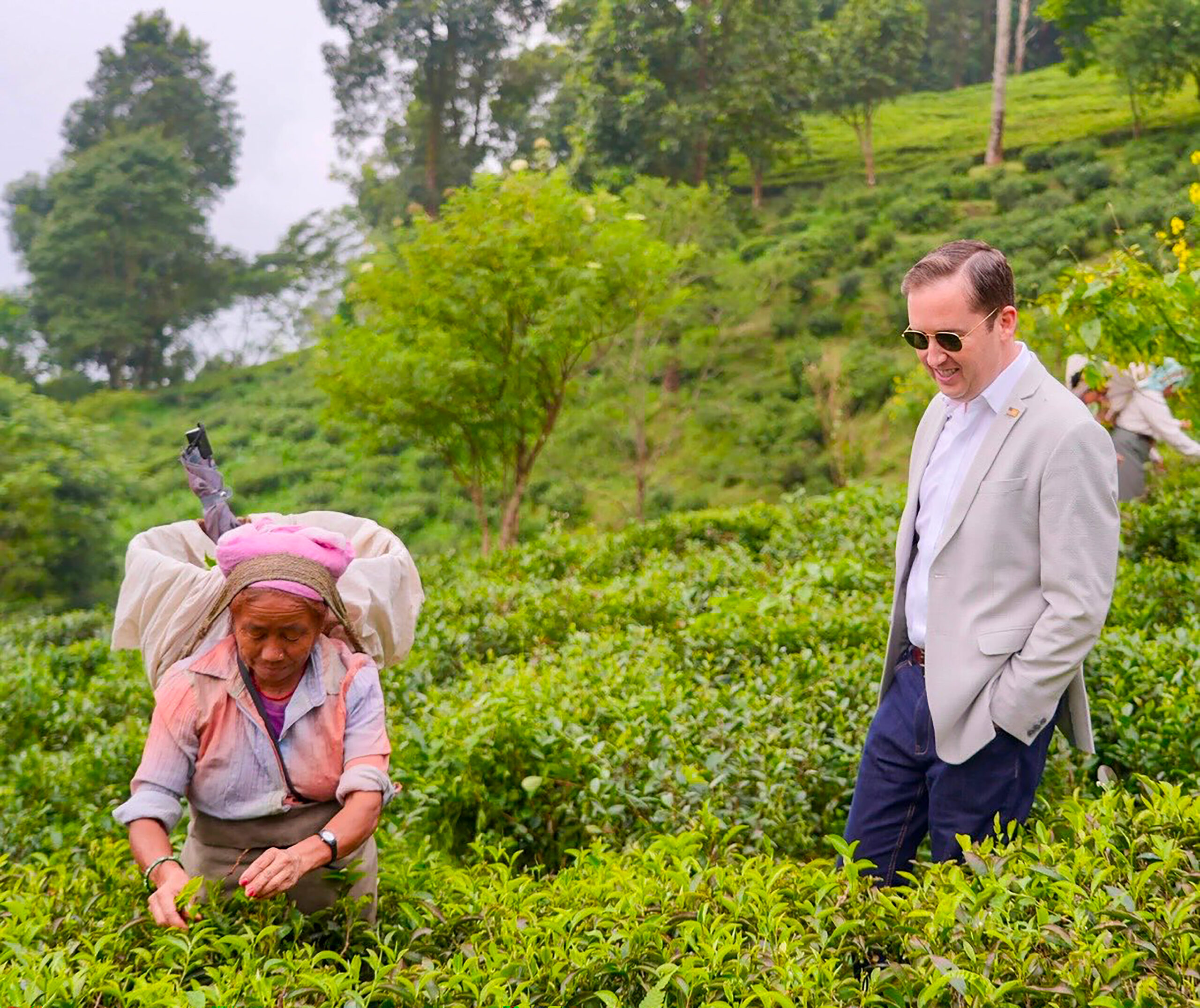Darjeeling: US Ambassador Sergio Gor Visits Makaibari Tea Estate #Gallery Darjeeling: US Ambassador Sergio Gor Visits Makaibari Tea Estate #Gallery