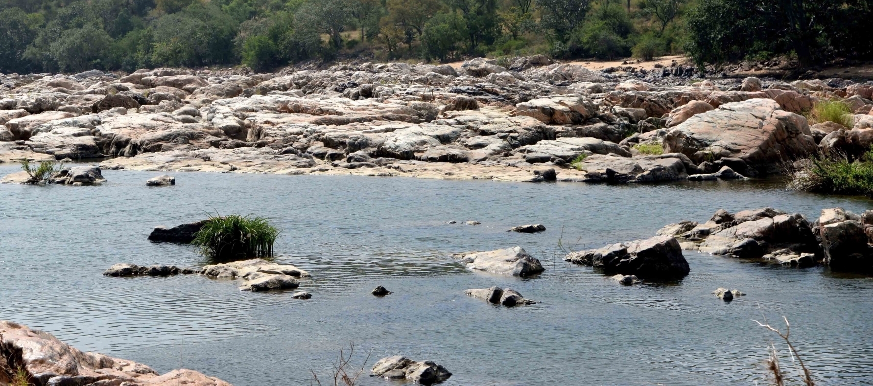 Cauvery row: Karnataka to move Supreme Court against order to release 6,000 cusecs to Tamil Nadu Cauvery row: Karnataka to move Supreme Court against order to release 6,000 cusecs to Tamil Nadu