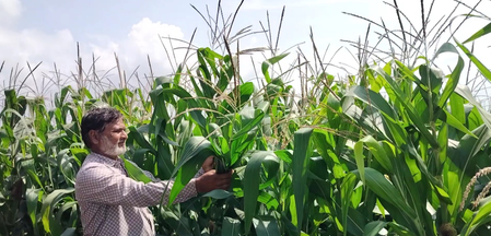 PM KISAN scheme becomes lifeline for farmers, Nashik locals applaud initiative PM KISAN scheme becomes lifeline for farmers, Nashik locals applaud initiative