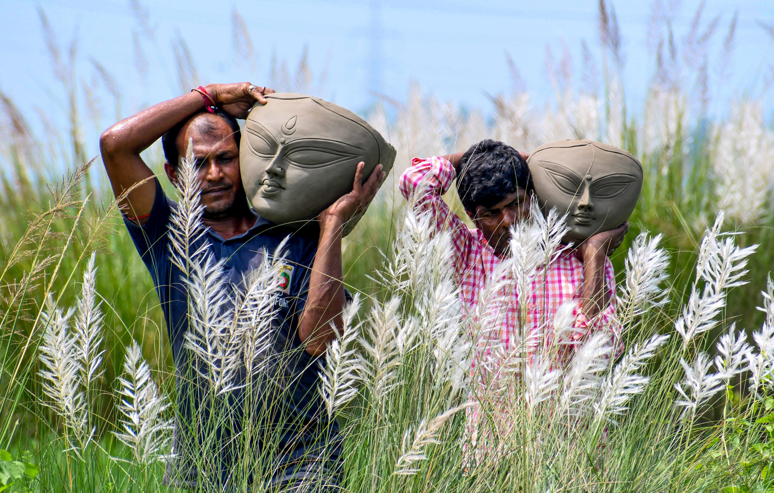 Birbhum: Artisans Carry Durga Idol Heads Through Kash Grass #Gallery Birbhum: Artisans Carry Durga Idol Heads Through Kash Grass #Gallery