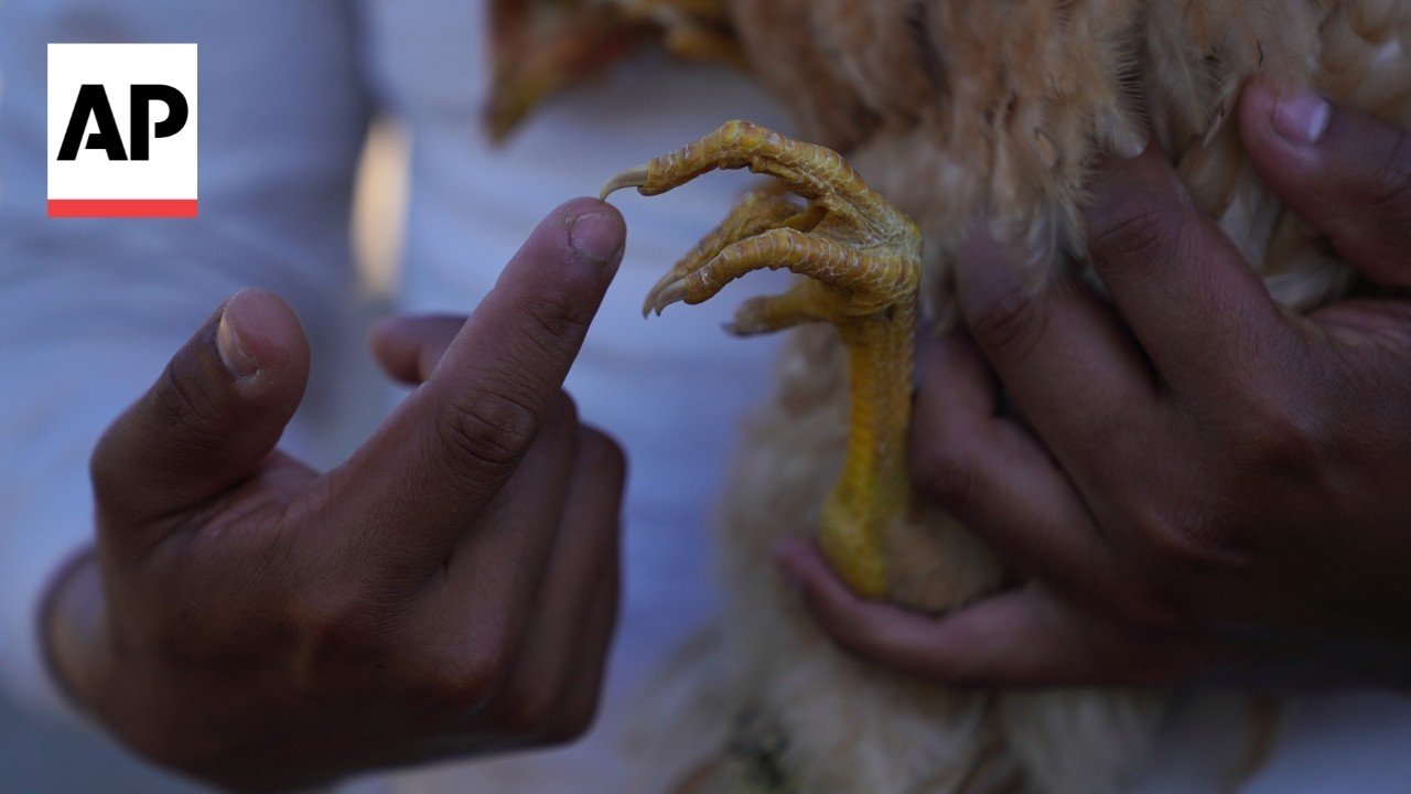 Farmers find a spiritual calling in regenerative agriculture (Video) Farmers find a spiritual calling in regenerative agriculture (Video)