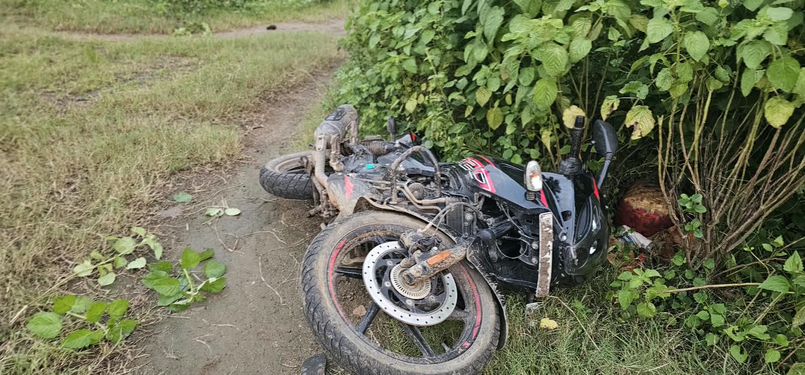 Odisha: Police foil theft bid; wanted history-sheeter shot in leg, two aides held Odisha: Police foil theft bid; wanted history-sheeter shot in leg, two aides held