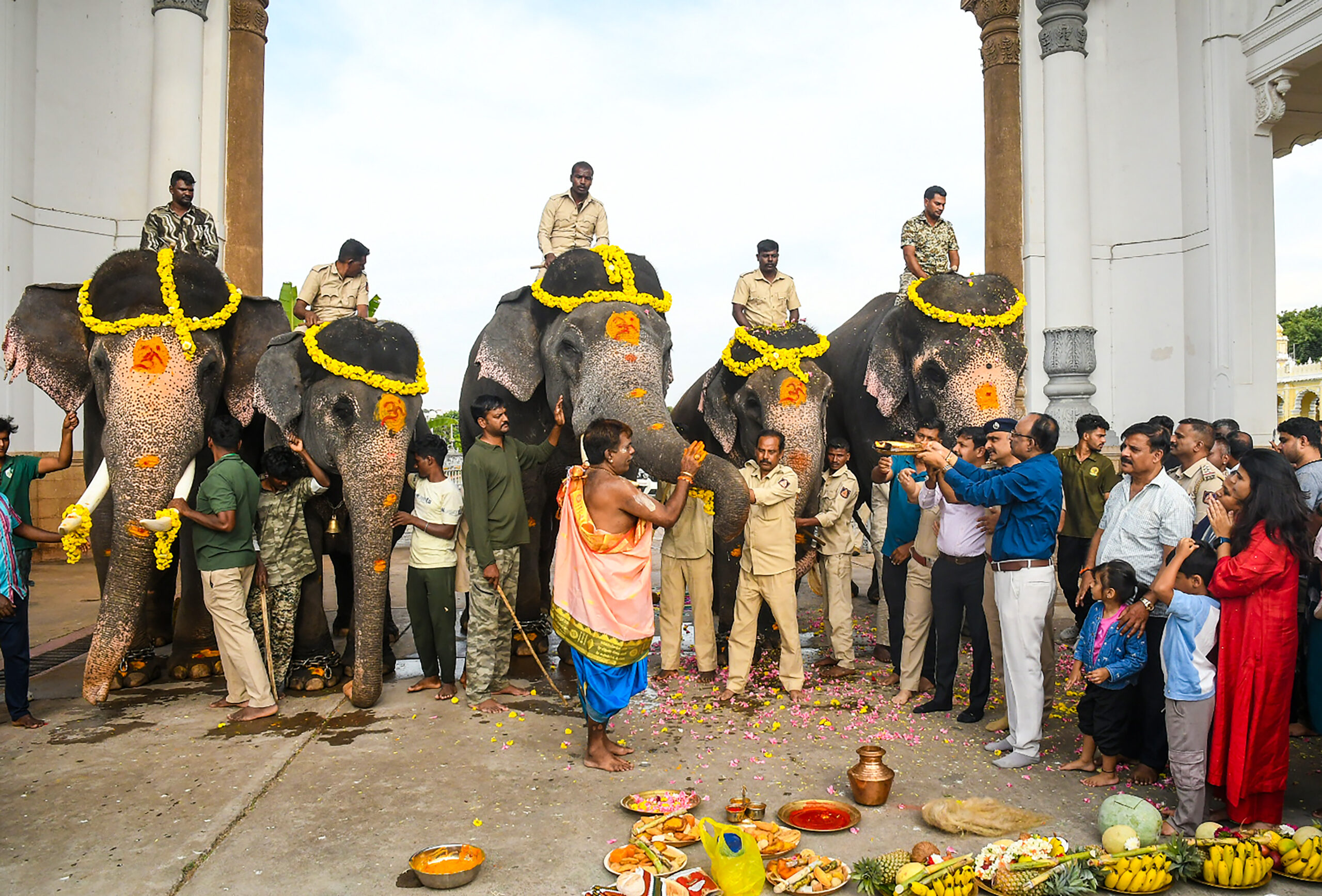 Dasara elephants arrive in Mysuru #Gallery Dasara elephants arrive in Mysuru #Gallery
