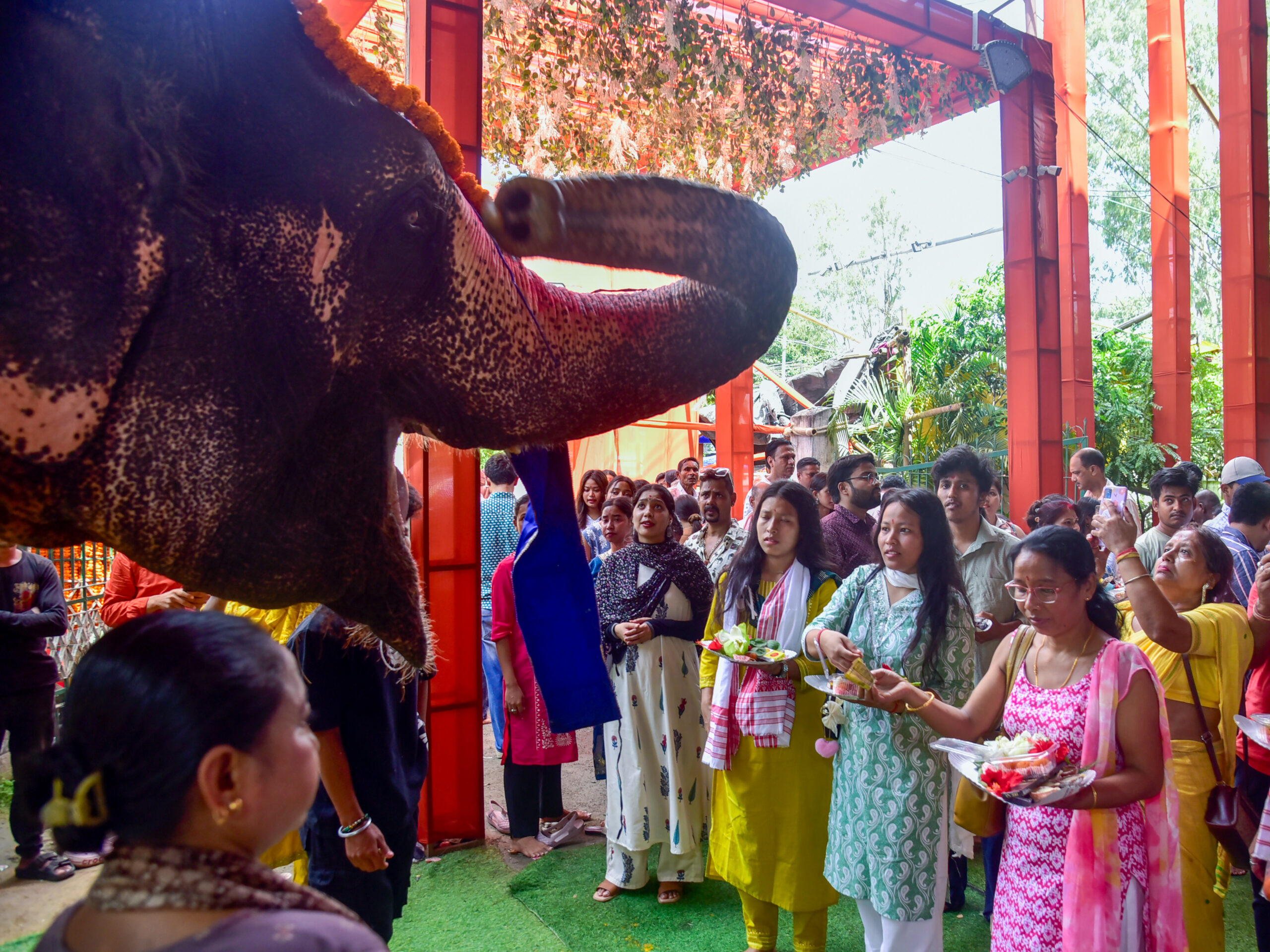 Guwahati: Ganesh Chaturthi Celebrations #Gallery Guwahati: Ganesh Chaturthi Celebrations #Gallery