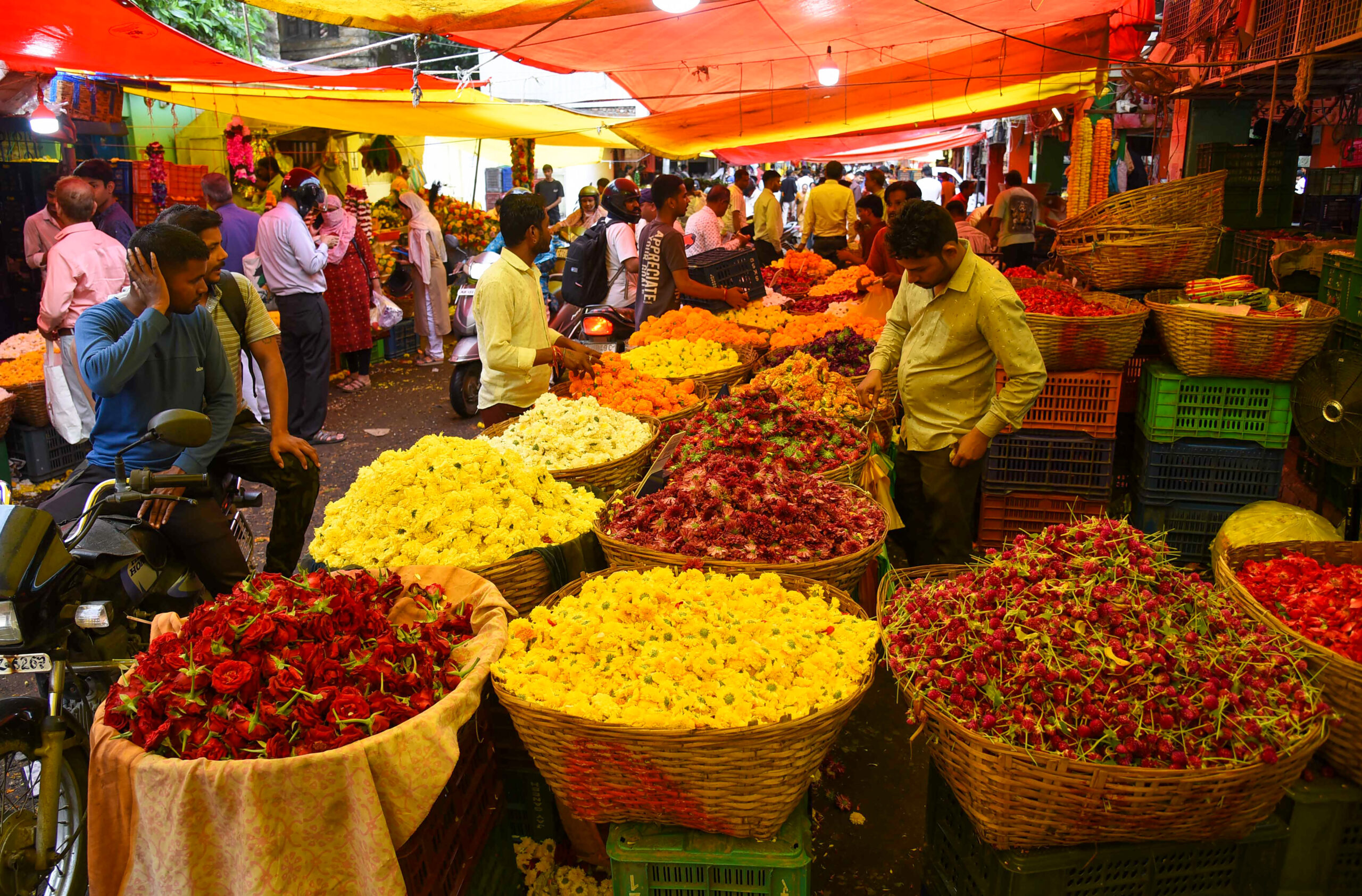Nagpur: Ganesh Chaturthi Celebrations #Gallery Nagpur: Ganesh Chaturthi Celebrations #Gallery