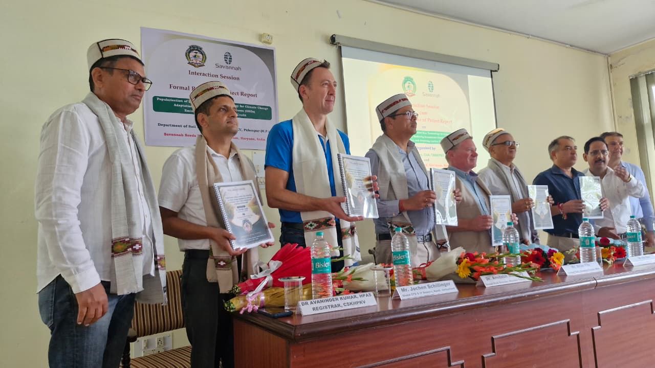 Himachal varsity develops climate-smart direct-seeded rice variety Himachal varsity develops climate-smart direct-seeded rice variety