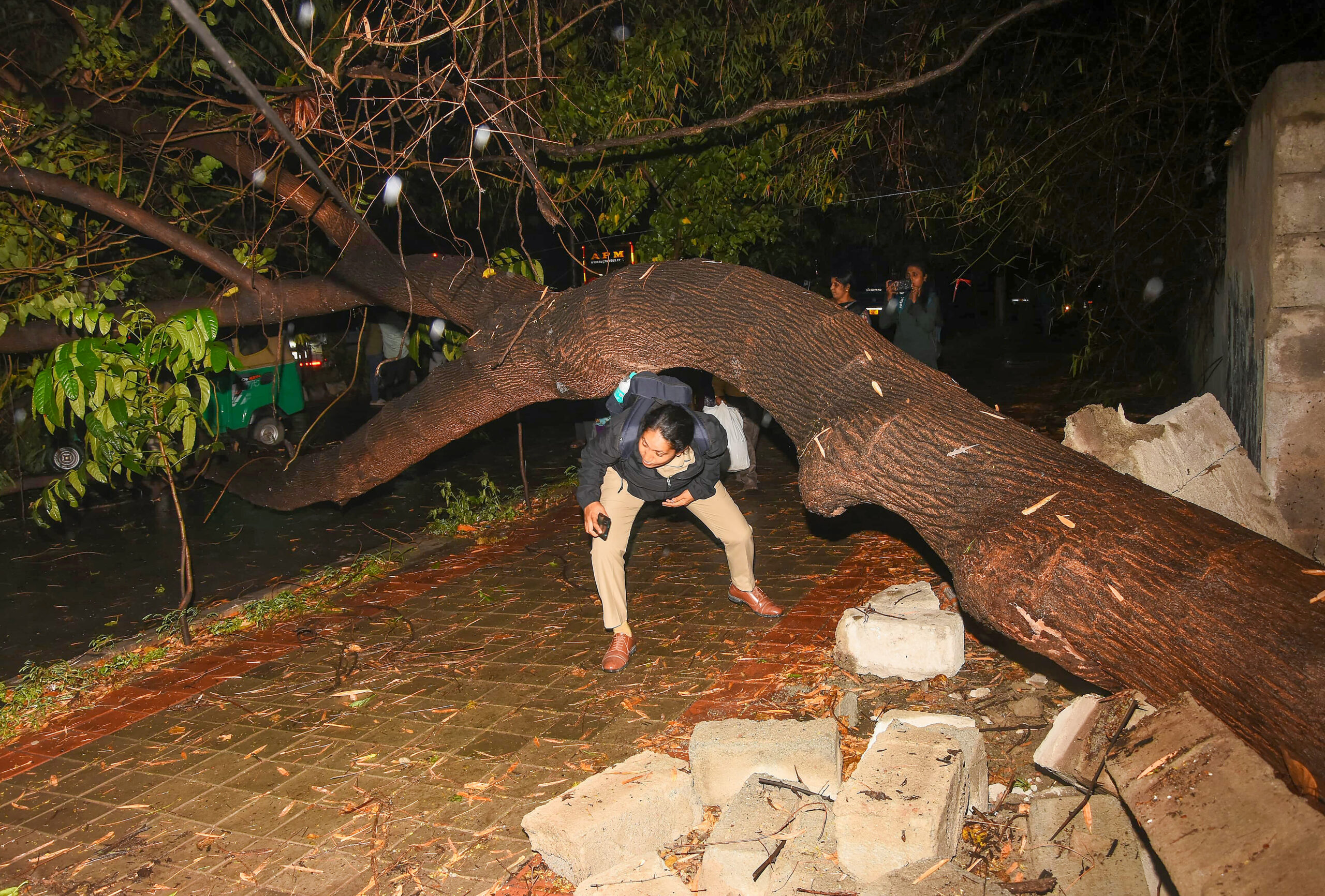 Bengaluru: People struggle to cross the road after a tree was uprooted and fell on an autorickshaw on Mallathalli Road following heavy rain and strong winds in Bengaluru on Tuesday, September 15, 2026. (Photo: IANS)