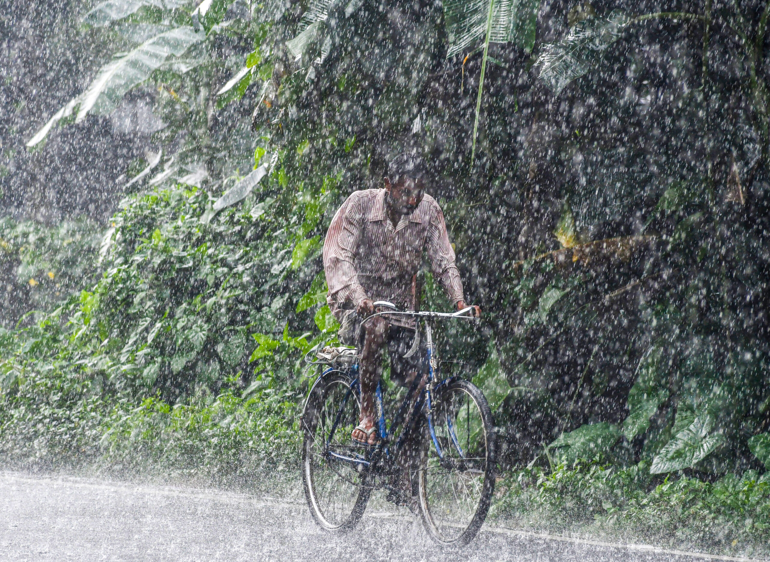Jalpaiguri: Incessant rain disrupts normal life #Gallery Jalpaiguri: Incessant rain disrupts normal life #Gallery