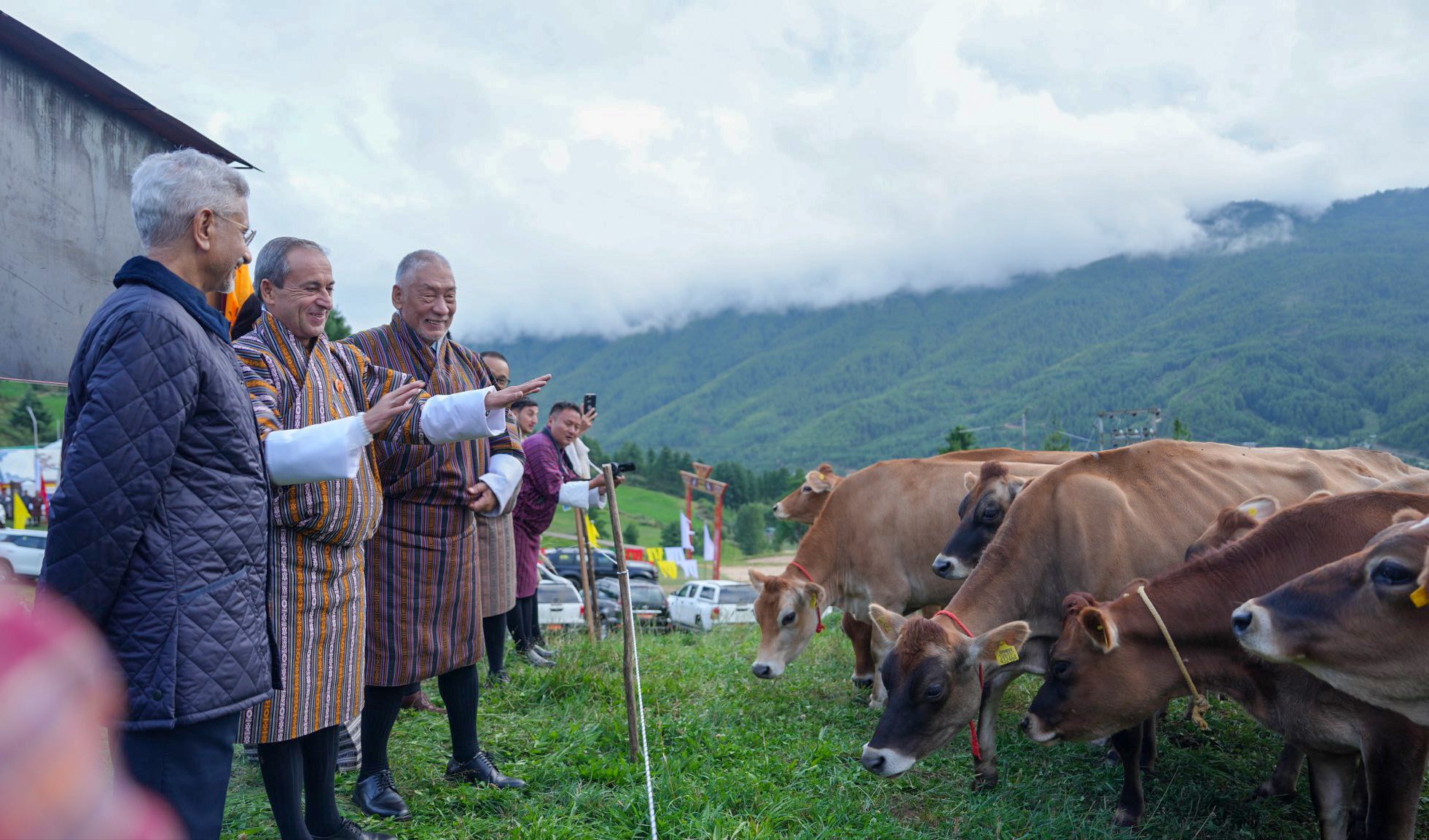 Bumthang: S. Jaishankar hands over 43 Jersey cows to Bhutan #Gallery Bumthang: S. Jaishankar hands over 43 Jersey cows to Bhutan #Gallery