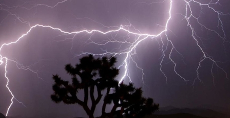 Lightning strikes claim lives in Siwan, Gaya and Purnea amid severe weather Lightning strikes claim lives in Siwan, Gaya and Purnea amid severe weather