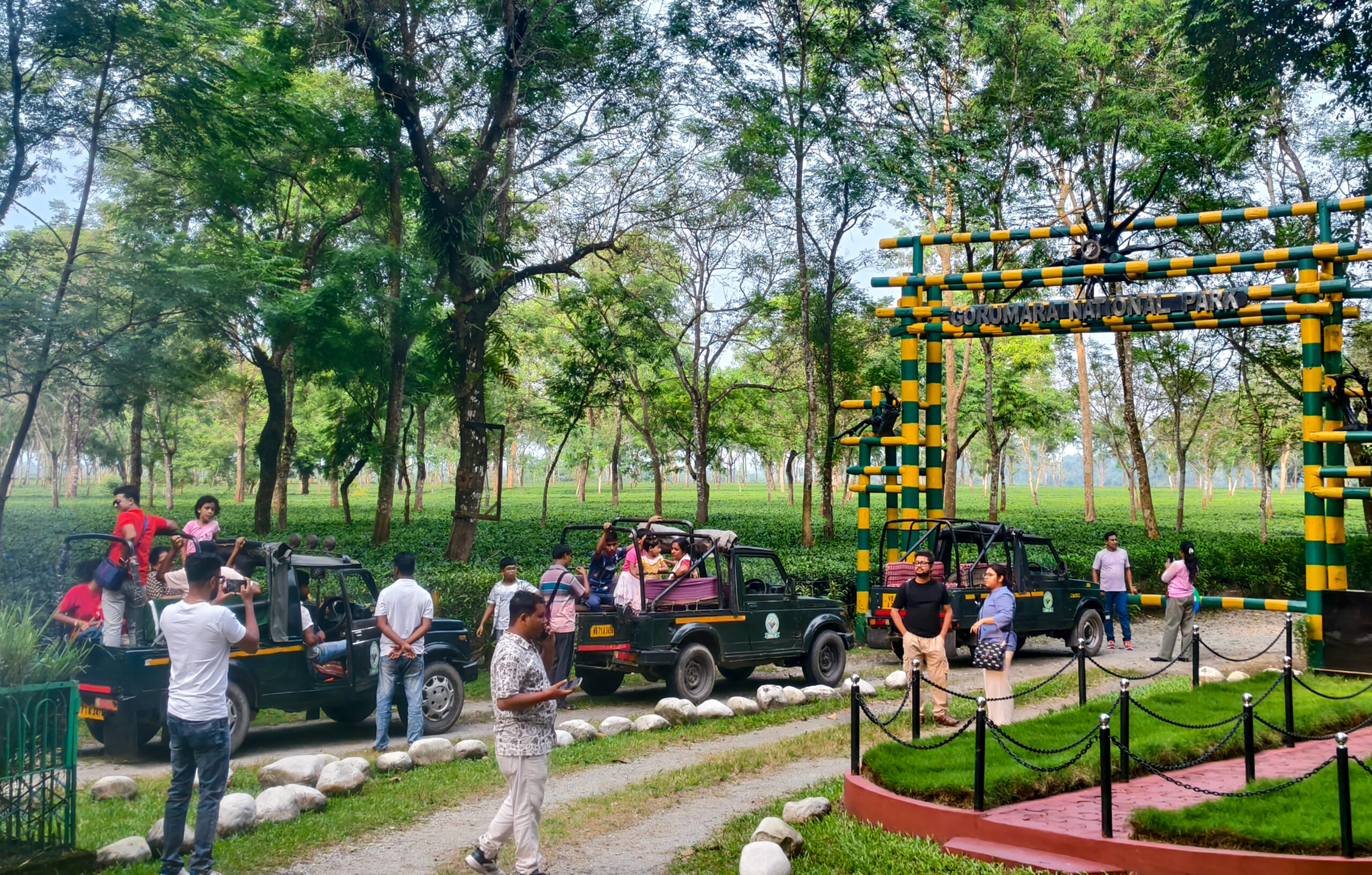 Jalpaiguri: Tourists head to Gorumara National Park #Gallery Jalpaiguri: Tourists head to Gorumara National Park #Gallery