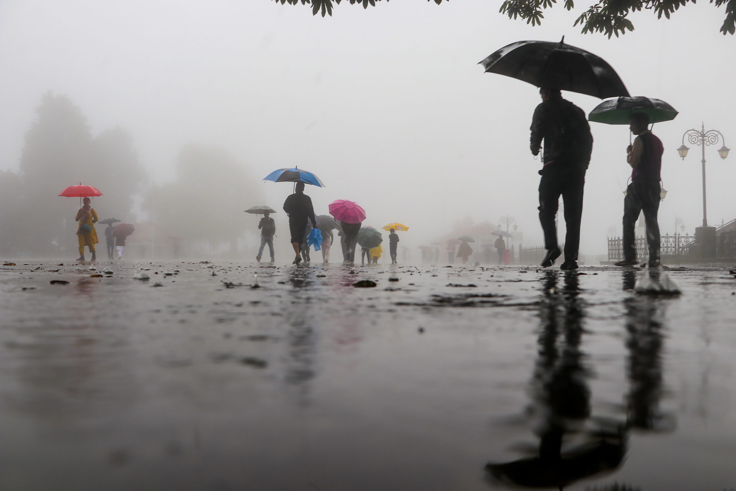 Shimla: People walk with umbrellas amid rain and fog #Gallery Shimla: People walk with umbrellas amid rain and fog #Gallery