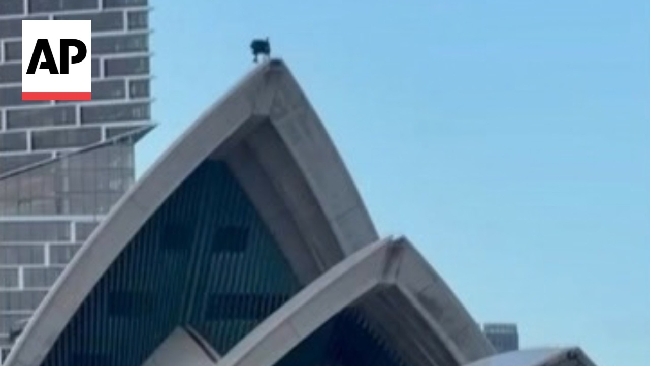 Batman is spotted on top of the Opera House in Sydney (Video) Batman is spotted on top of the Opera House in Sydney (Video)
