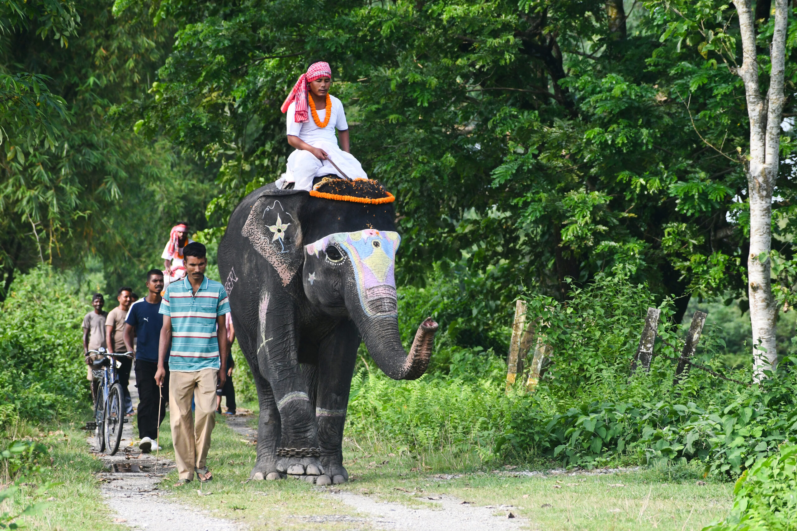 Jalpaiguri: A decorated kunki elephant, with a mahout seated atop, takes part in Vishwakarma Puja celebrations at Gorumara in Jalpaiguri district of West Bengal, on Friday, September 18, 2026. (Photo: IANS)