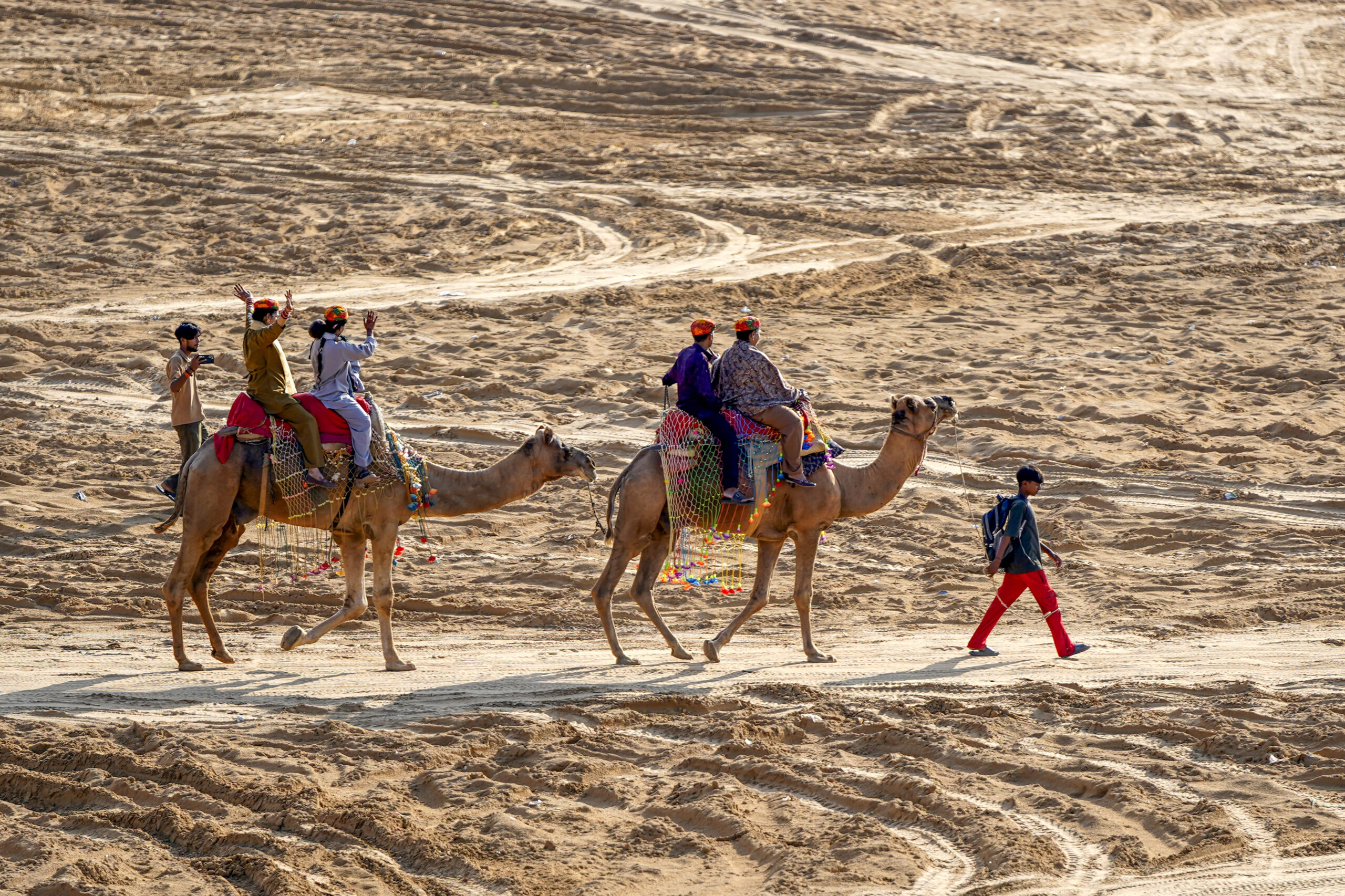 Pushkar: Camel safari - #Gallery Pushkar: Camel safari - #Gallery