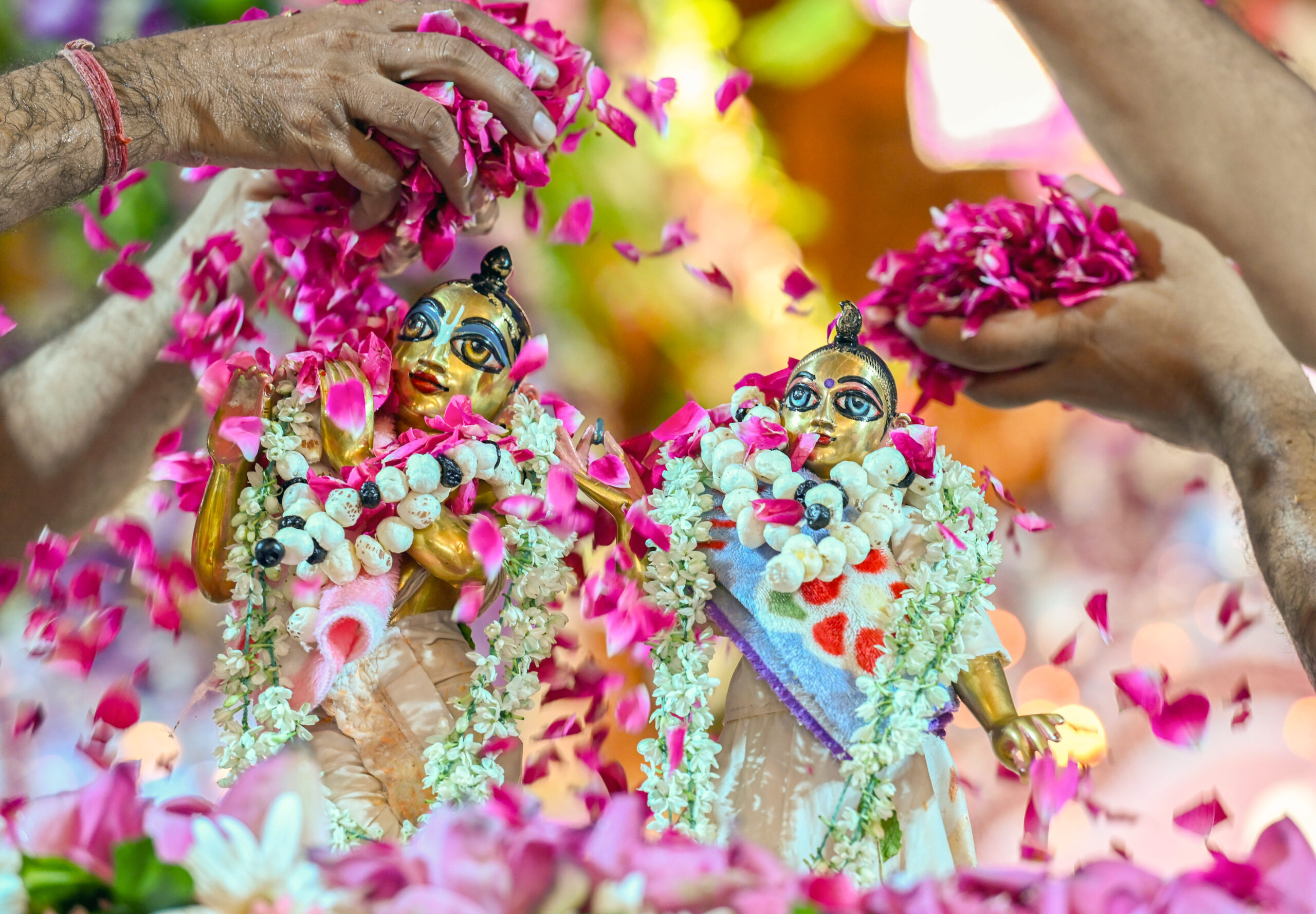 Noida: Devotees Celebrate Radha Ashtami at ISKCON Temple #Gallery Noida: Devotees Celebrate Radha Ashtami at ISKCON Temple #Gallery