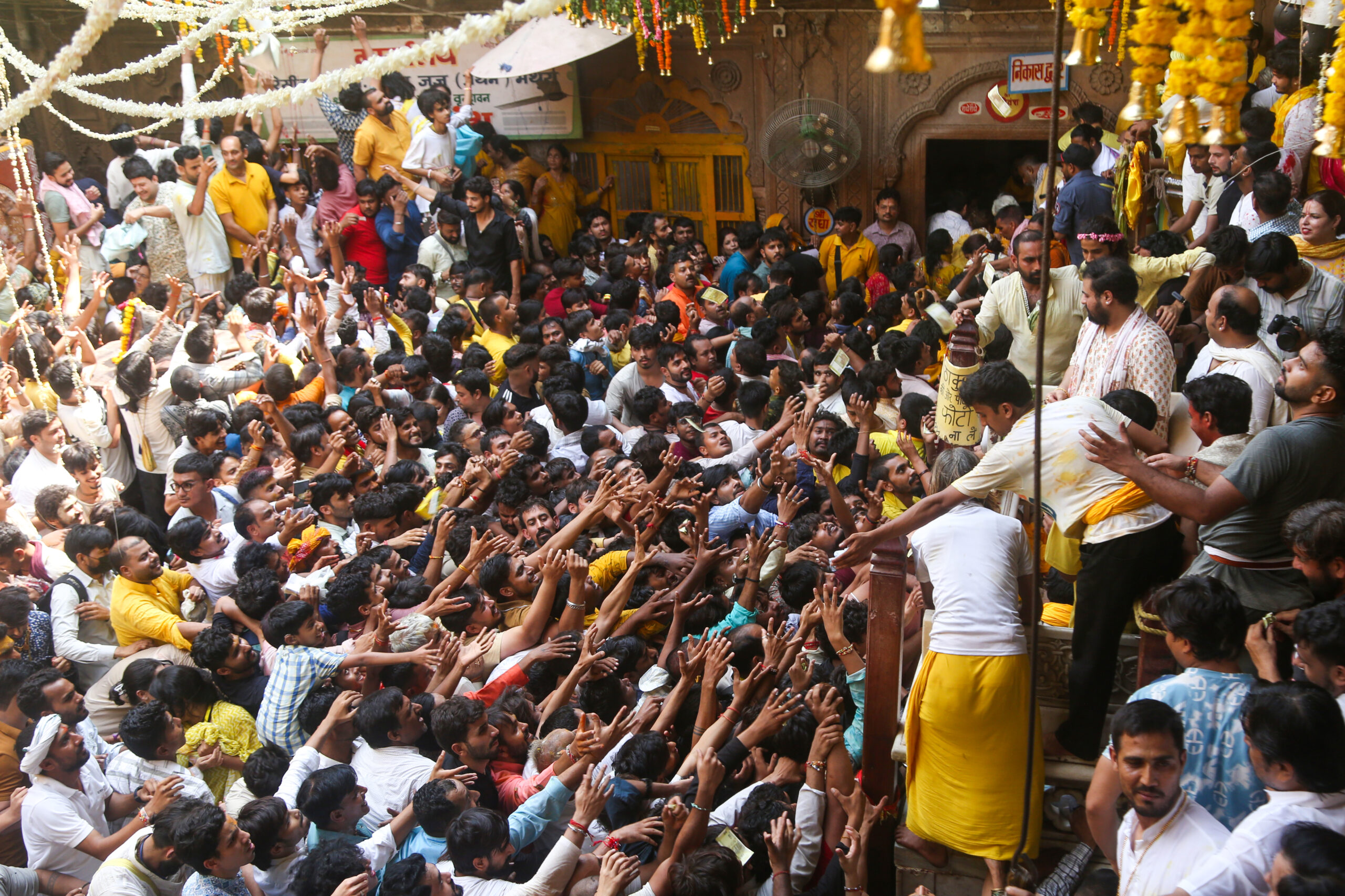 Vrindavan: Devotees try to collect prasadam thrown by a priest during the Radha Ashtami festival at Sri Radha Vallabh Temple, in Vrindavan, Uttar Pradesh, on Saturday, September 19, 2026. (Photo: IANS)