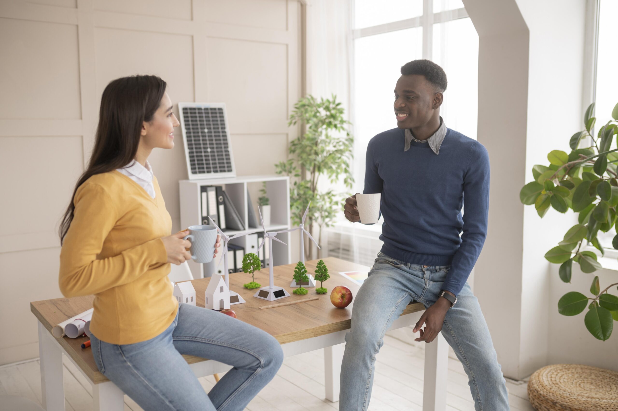Solar System With Battery vs Without Battery: Which Setup Fits Your Home?