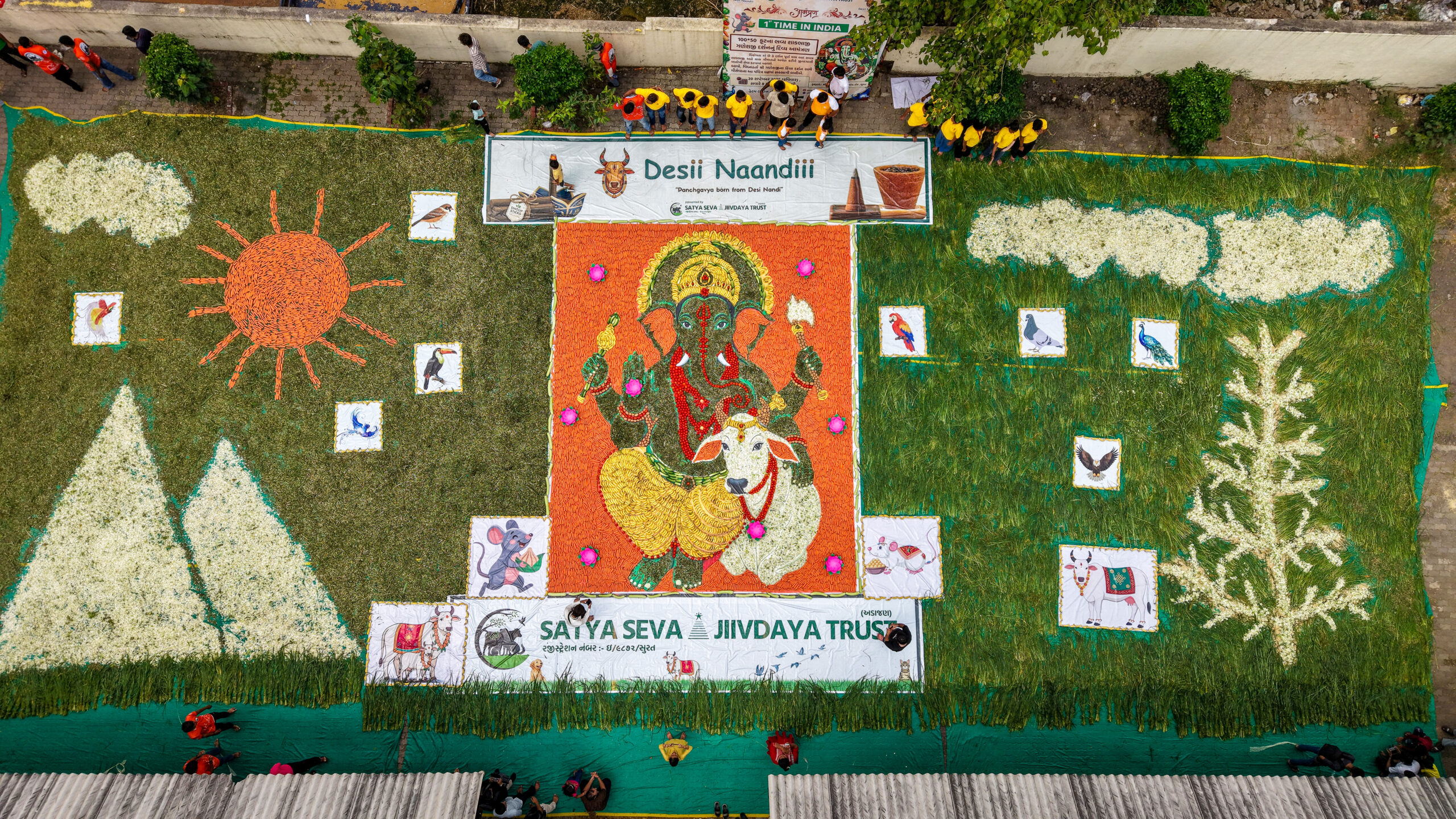 Surat: A giant 100x50-foot replica of Lord Ganesha is being made using tonnes of fruits and vegetables during Ganesh Utsav in Surat, Gujarat, on Monday, September 21, 2026. Photo: IANS)