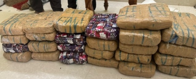 DRI seizes 845 kg contraband, arrests 15 accused in fortnight-long operation DRI seizes 845 kg contraband, arrests 15 accused in fortnight-long operation