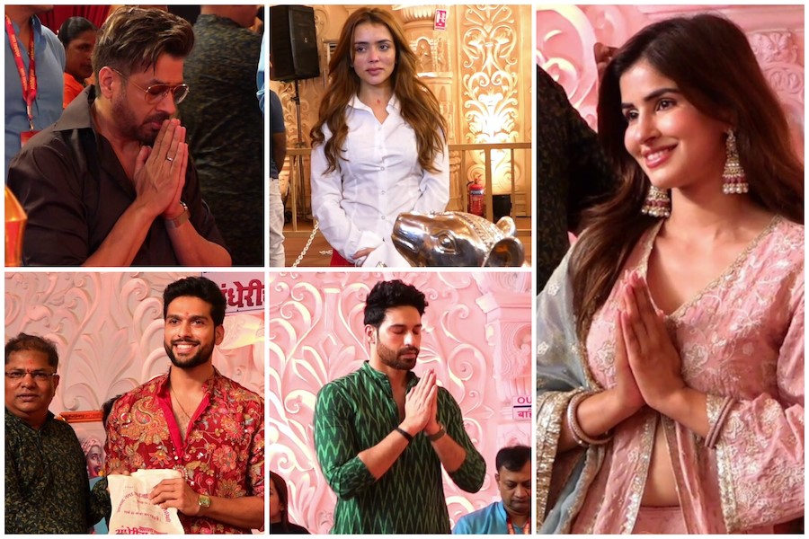 Rajat Bedi, Sai Ketan Rao, Niharika Tiwari and More Celebs Seek Blessings at Andheri Cha Raja