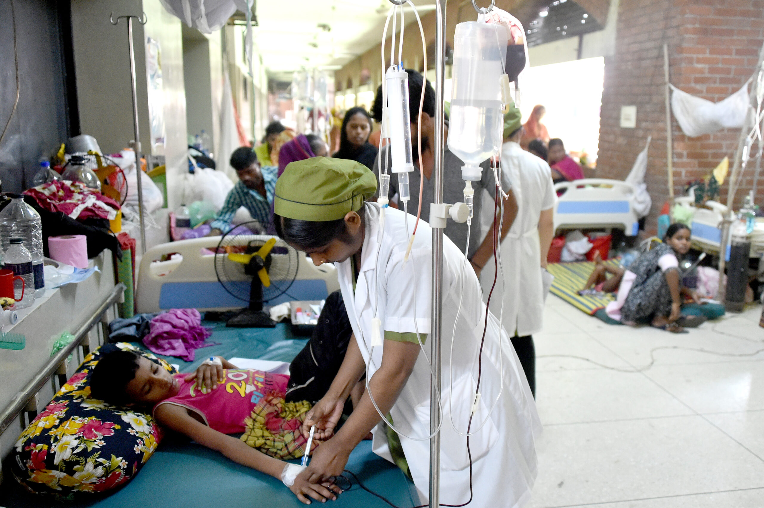 Bangladesh dengue outbreak claims six more lives, death toll rises to 239