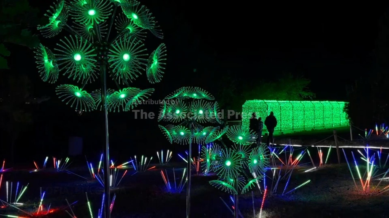 Fireflies and magical forests sparkle in Sofia's Botanical Gardens (Video)
