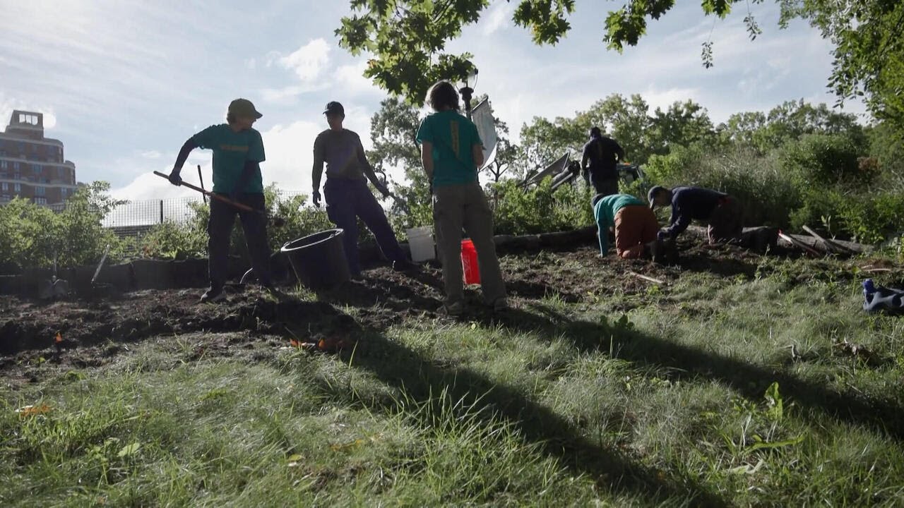 How this New York City community cleanup project is helping adults make new friends (Video)