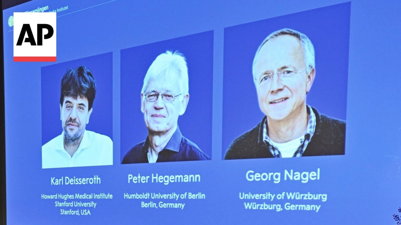 Nobel medicine prize goes to 3 scientists for research into brain activity (Video)