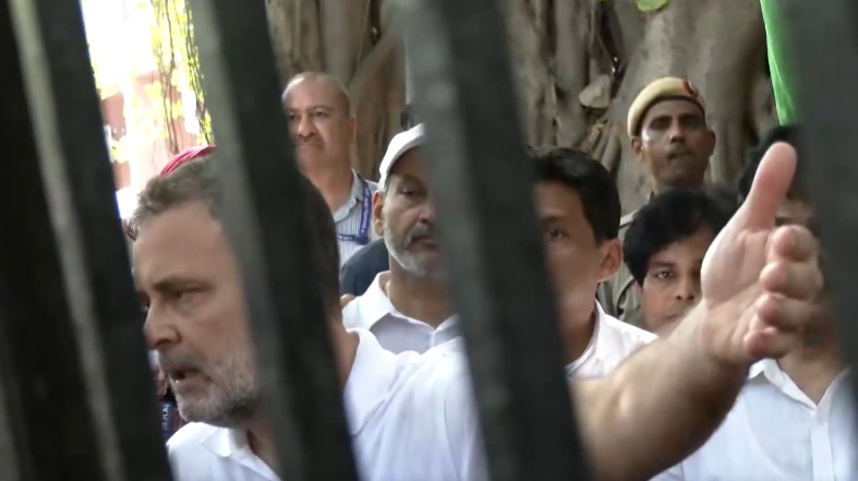 'Not only countering, going to destroy them': Rahul Gandhi amid INDIA Bloc protest