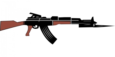 Andhra constable injured as gun misfires during Defence Minister's Vizag visit