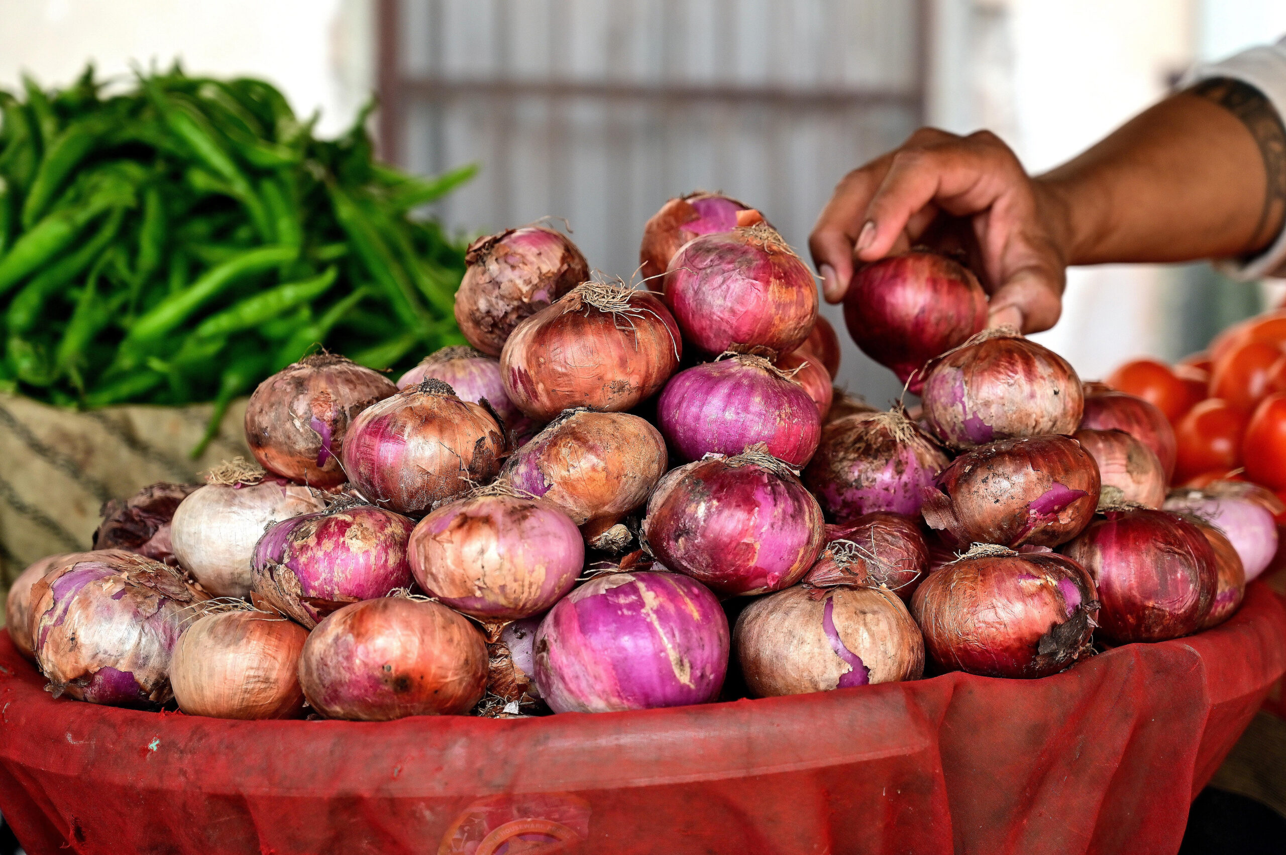 Onion prices dip as fresh crop flows into markets